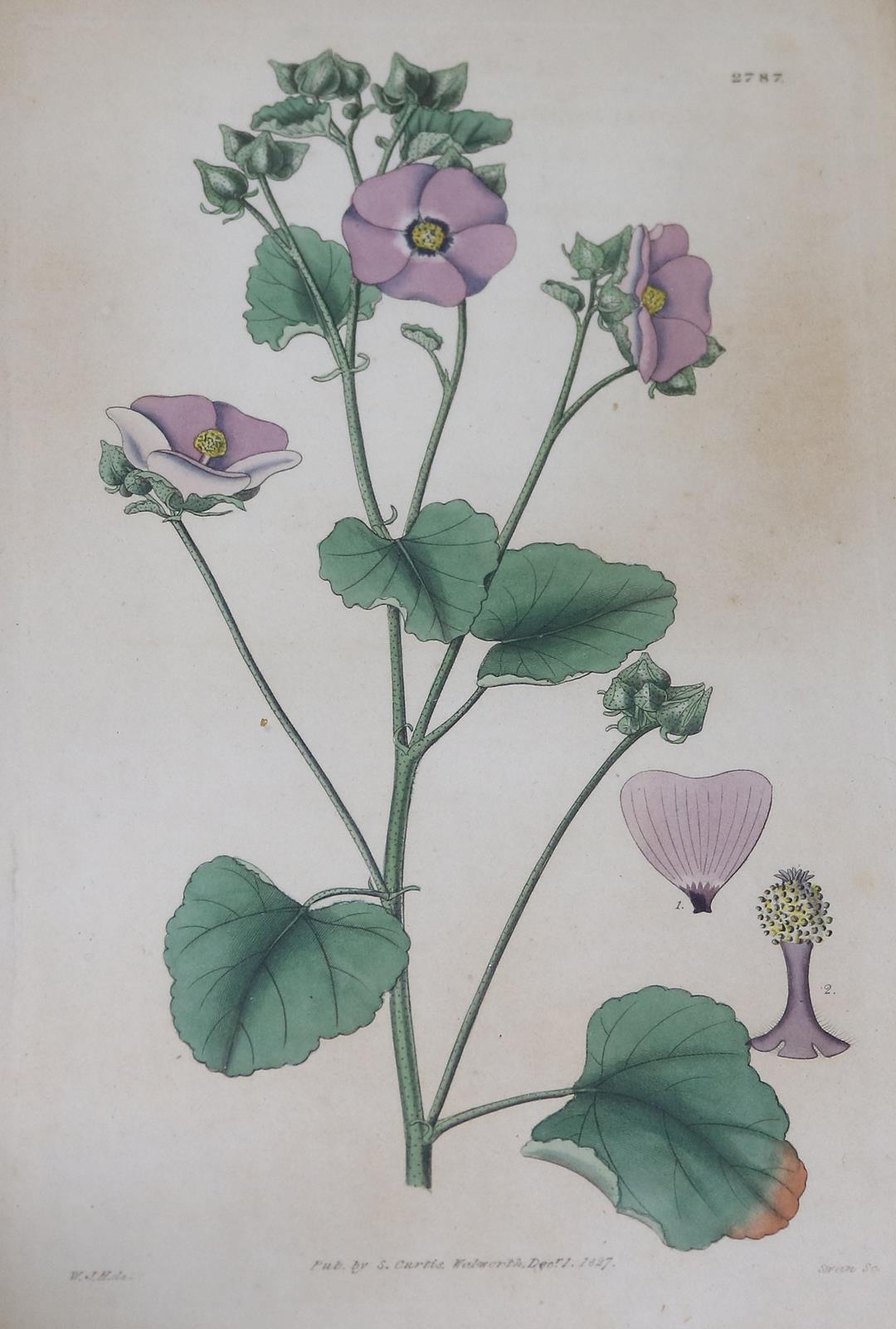 Konvolut. | Bild Nr.8