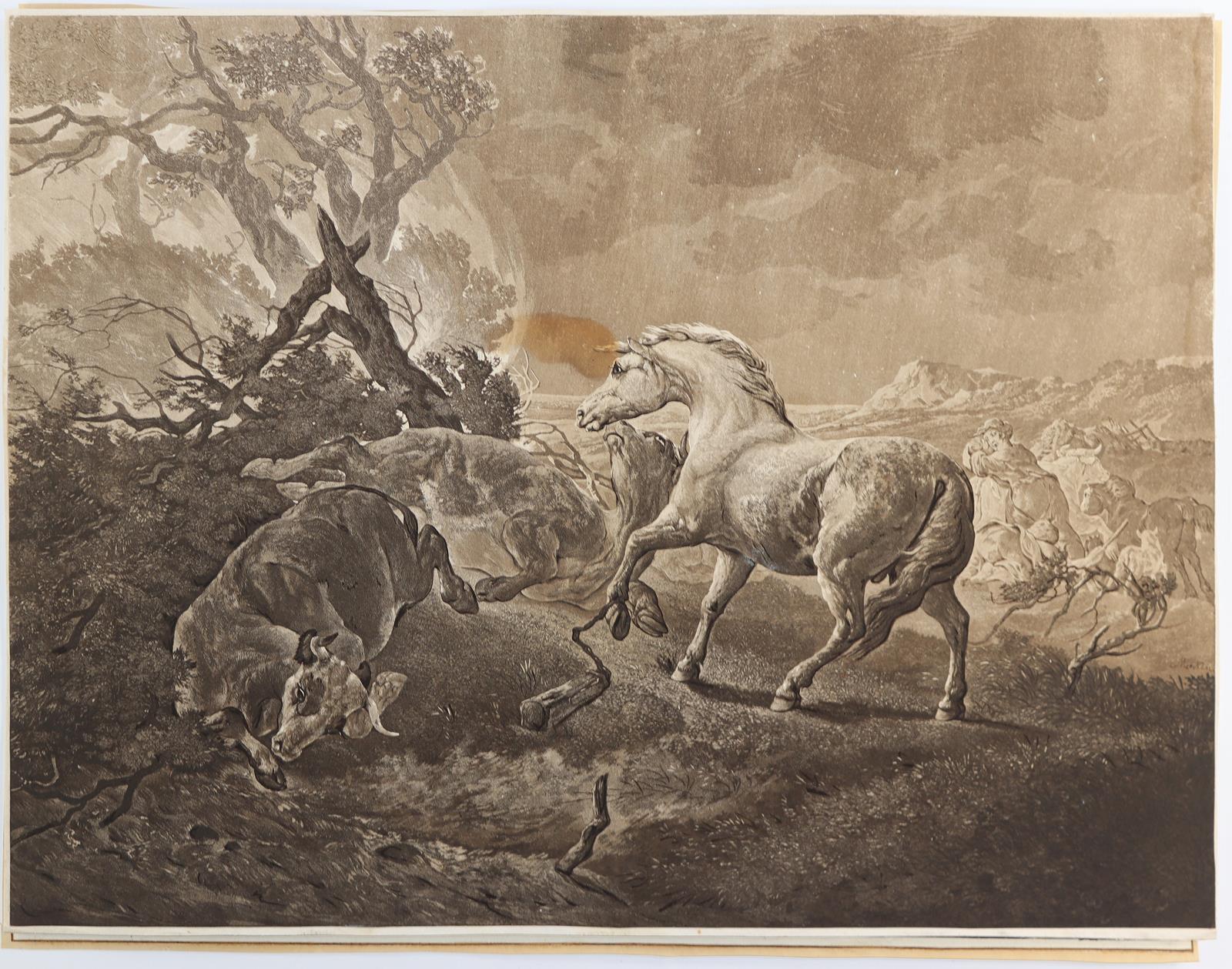 Menken, Johann Heinrich | Bild Nr.2