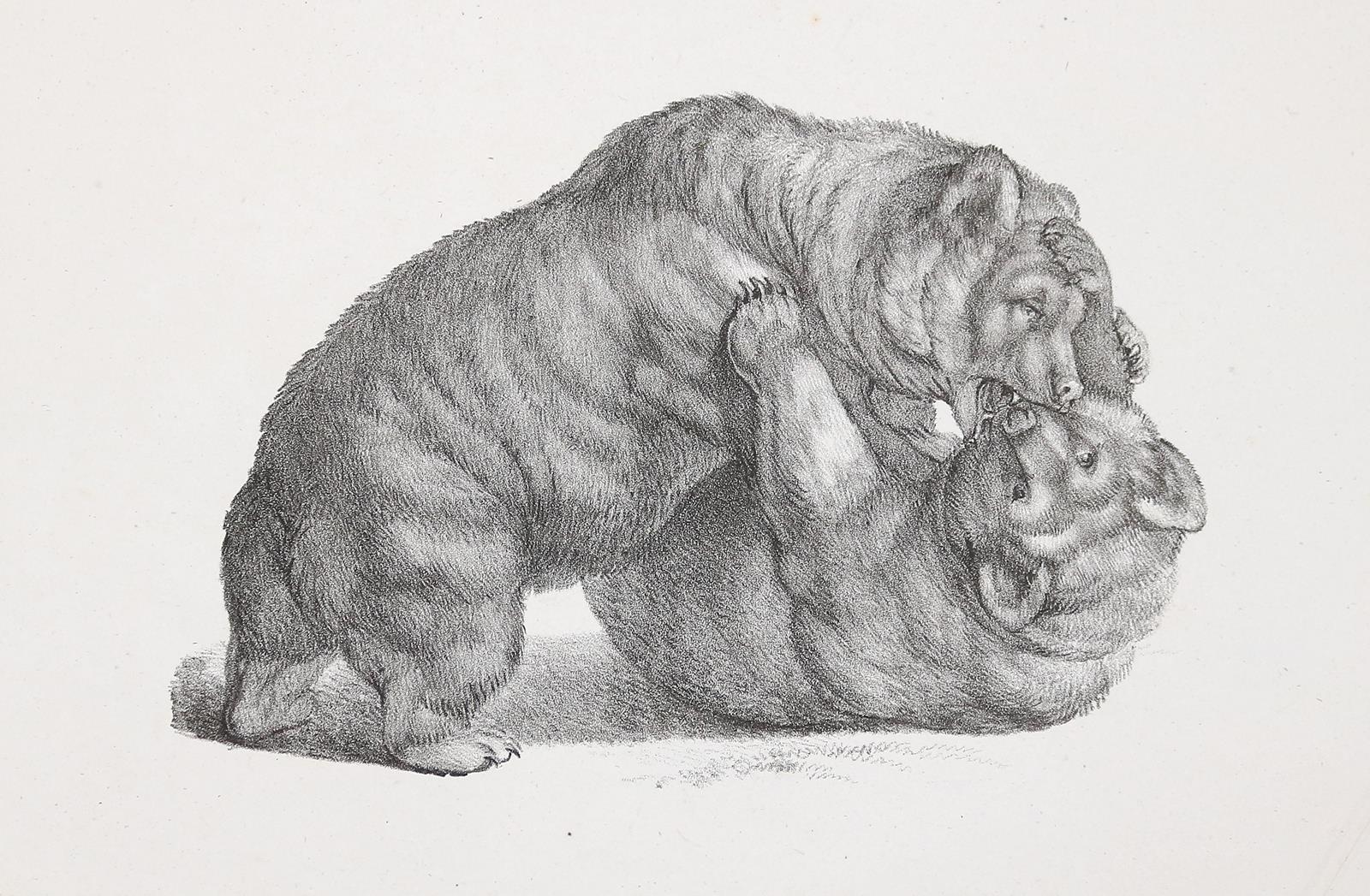 Mind, Gottfried | Bild Nr.1