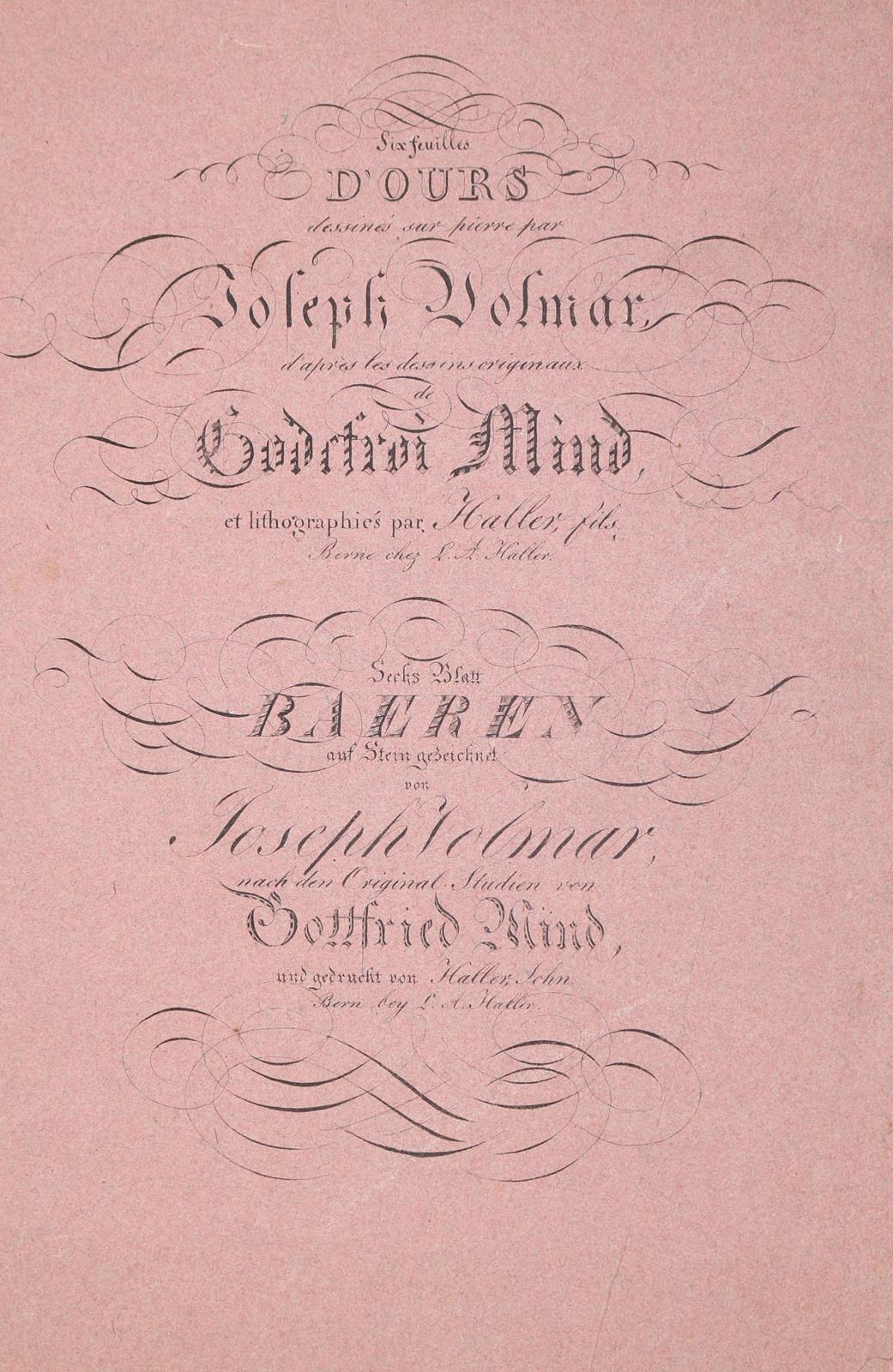 Mind, Gottfried | Bild Nr.2