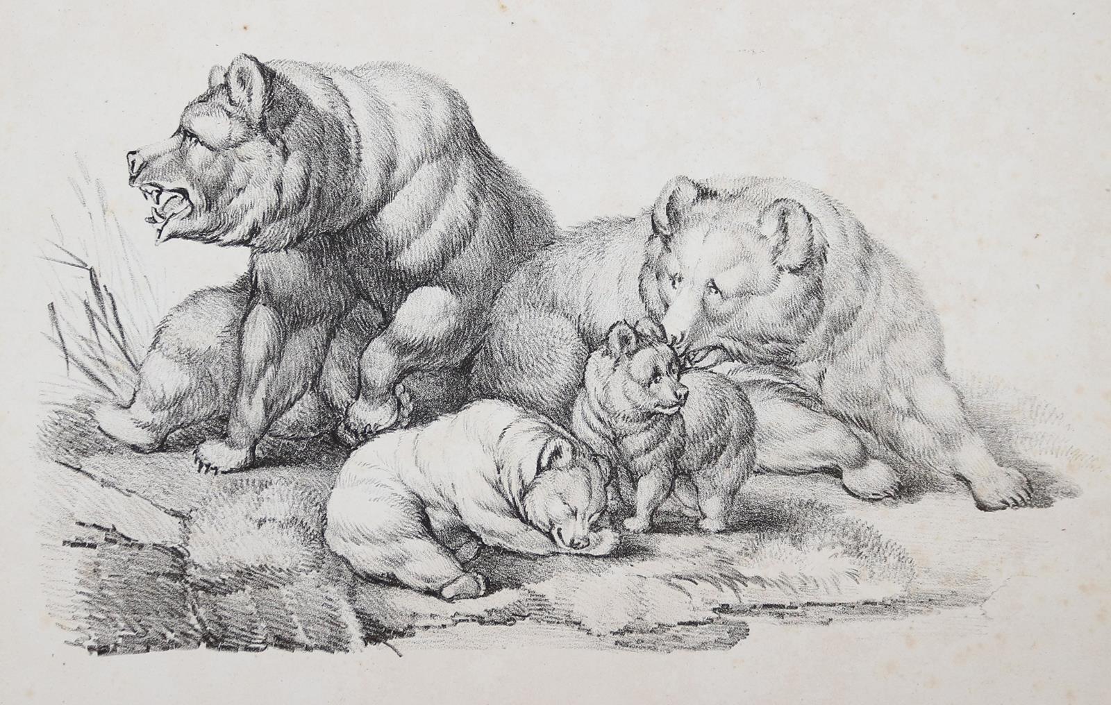 Mind, Gottfried | Bild Nr.3