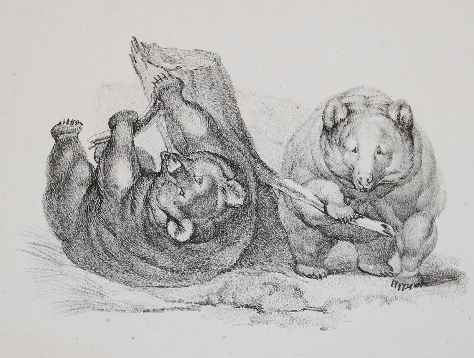 Mind, Gottfried | Bild Nr.4