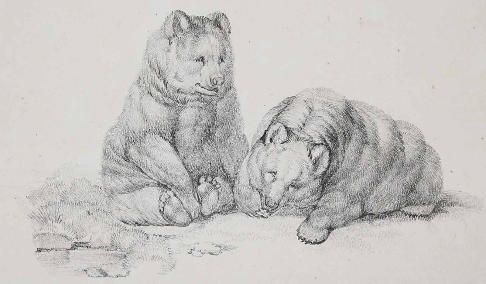 Mind, Gottfried | Bild Nr.5