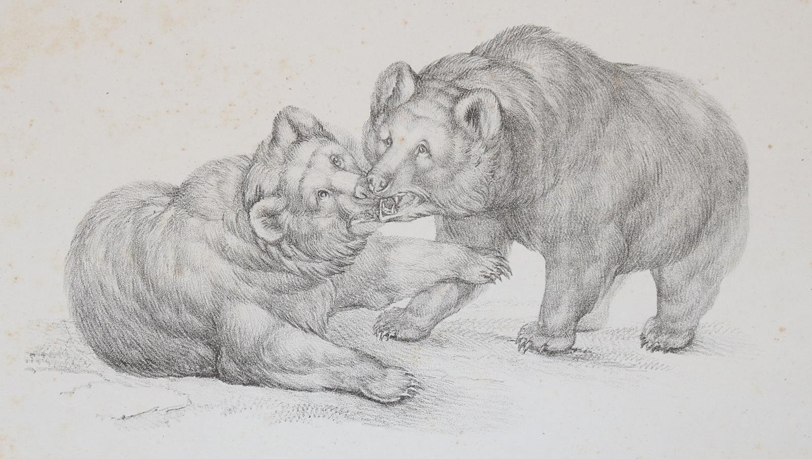 Mind, Gottfried | Bild Nr.6