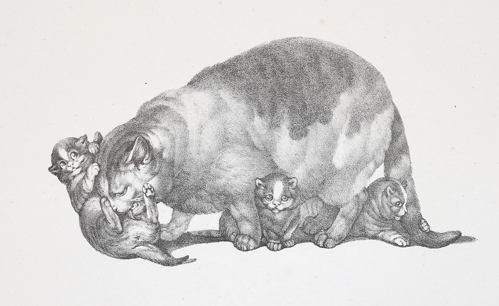 Mind, Gottfried | Bild Nr.1