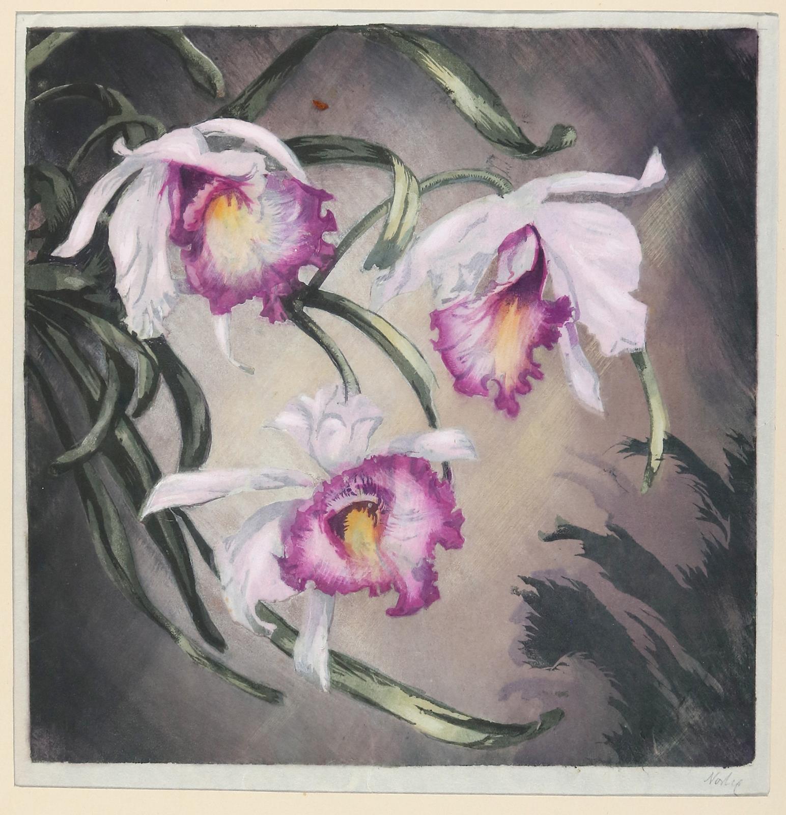 Noske, Hugo | Bild Nr.2