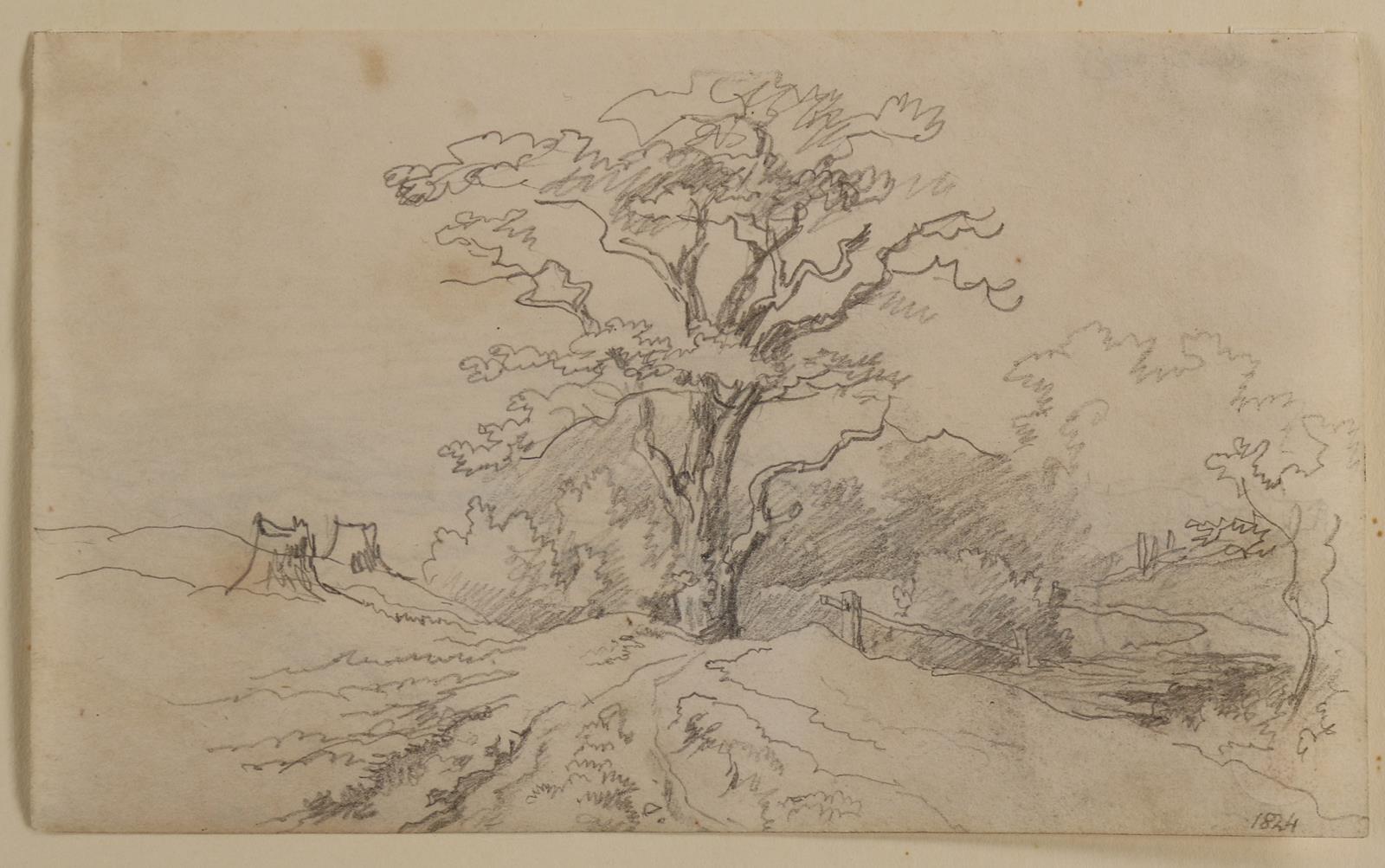 Sammlung | Bild Nr.5