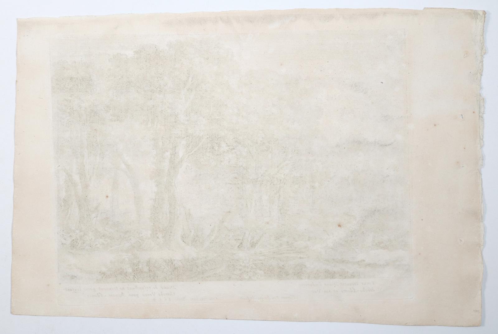 Swanefelt, Hermann van | Bild Nr.4