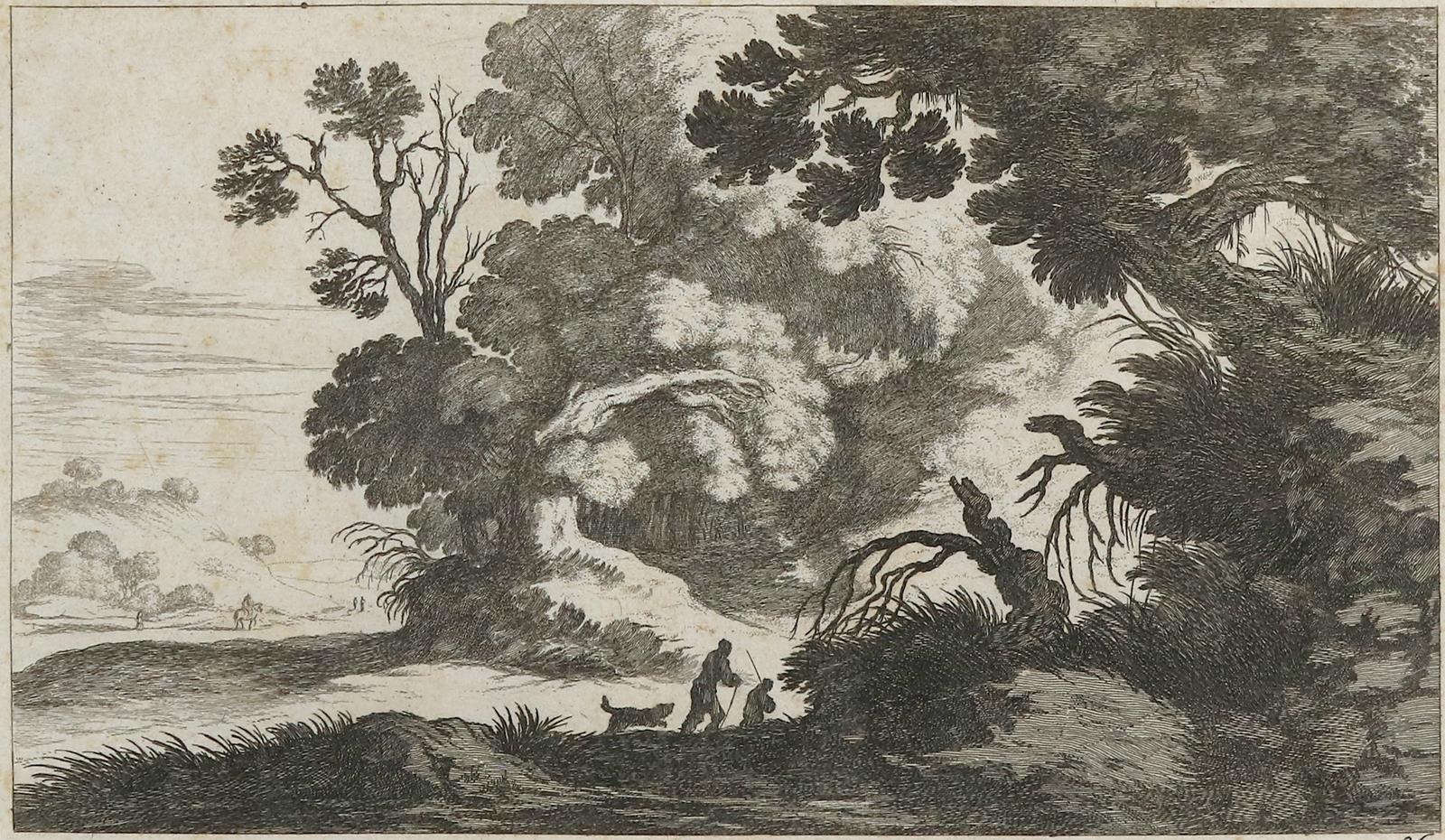 Tiere und Landschaften. | Bild Nr.1