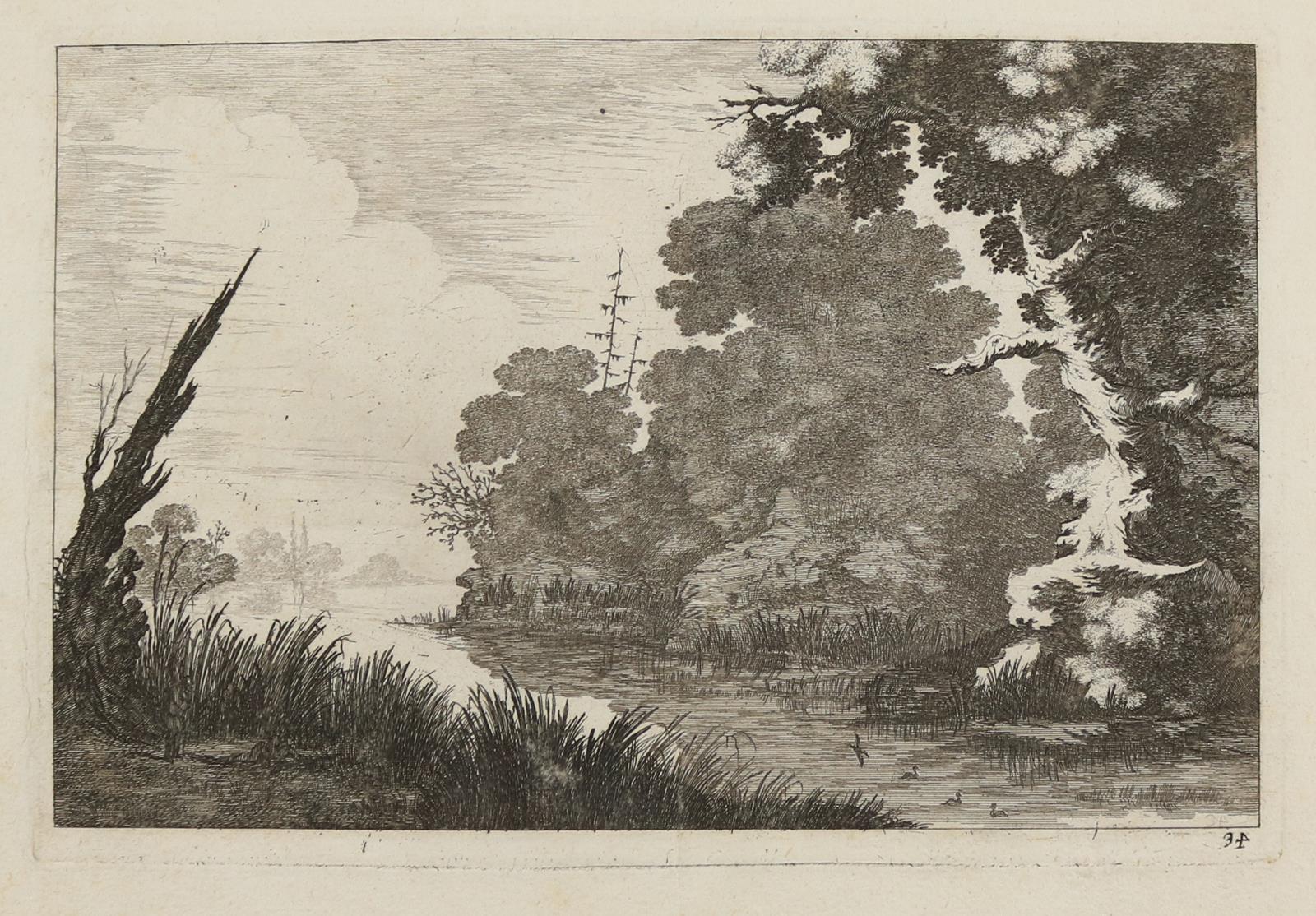 Tiere und Landschaften. | Bild Nr.11