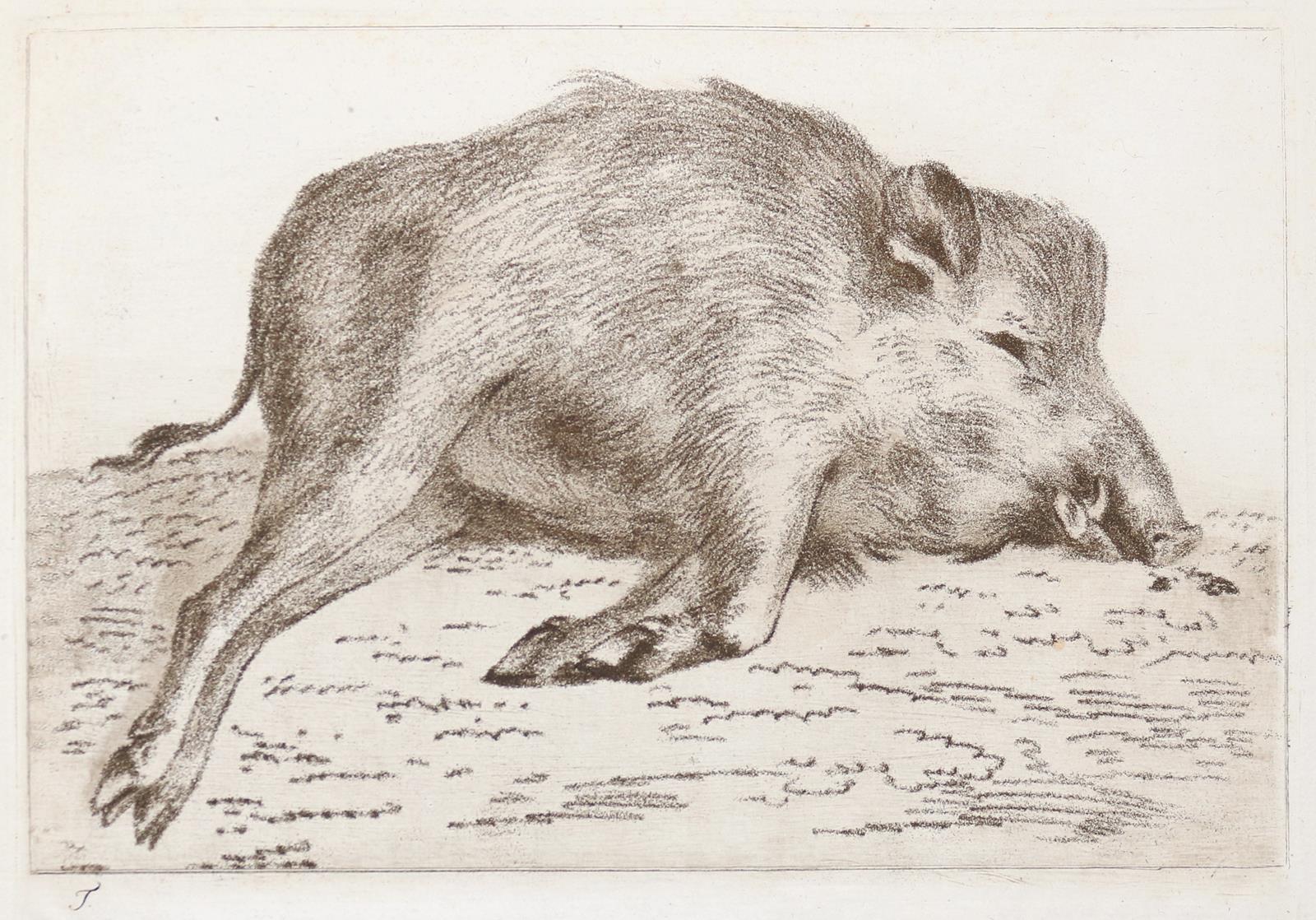 Tischbein, Johann Heinrich | Bild Nr.3