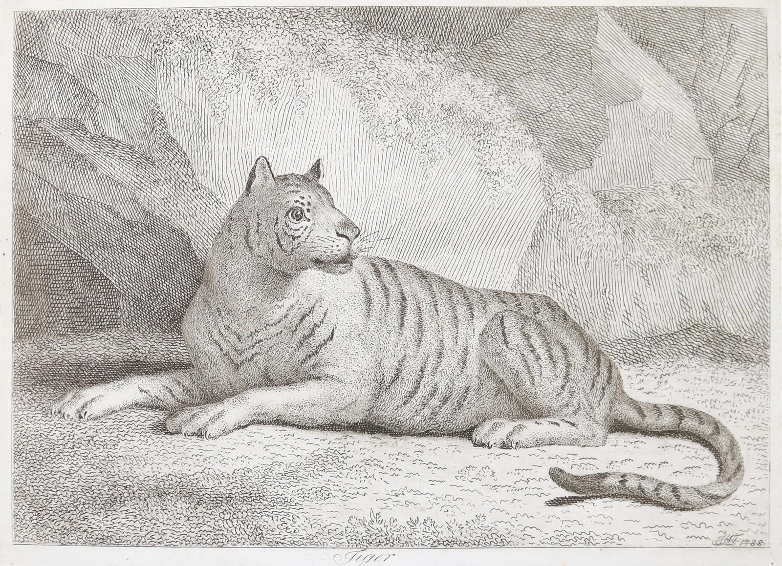 Tischbein, Johann Heinrich | Bild Nr.5