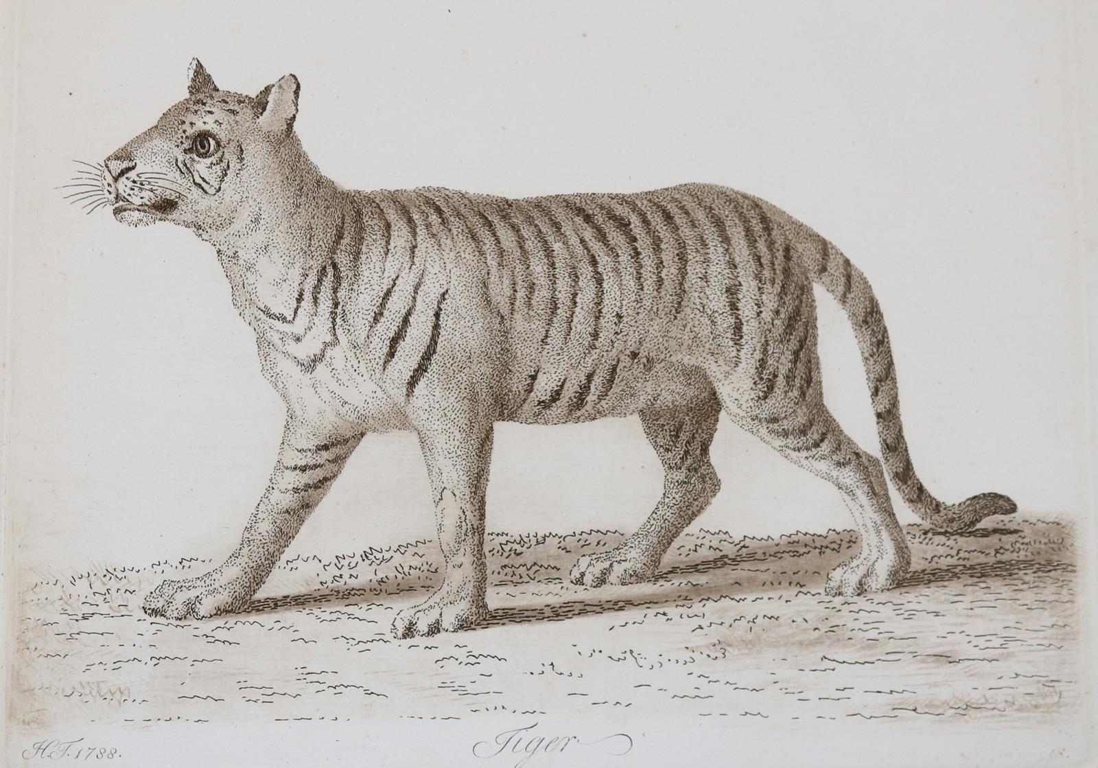 Tischbein, Johann Heinrich | Bild Nr.19