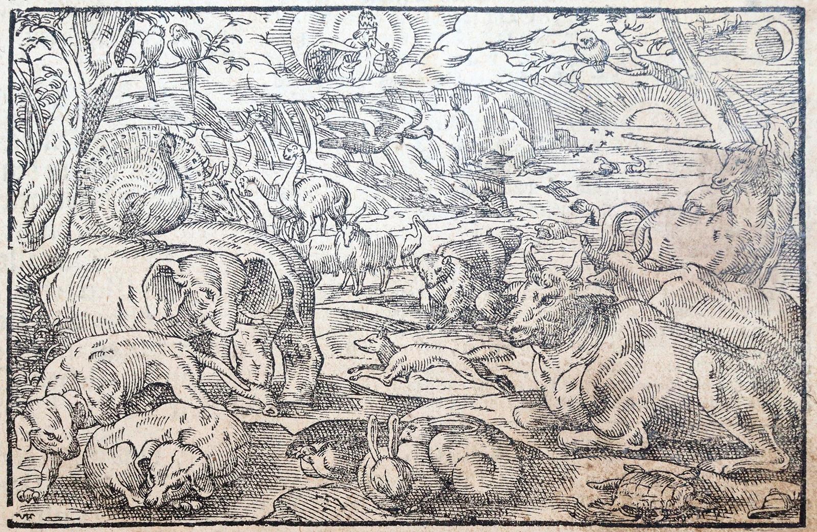 Biblia germanica. | Bild Nr.2