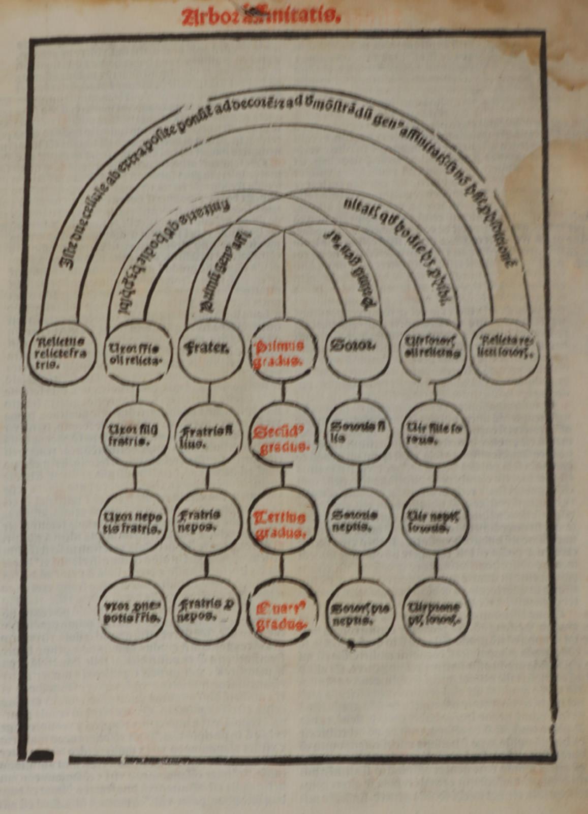 Bonifatius VIII. | Bild Nr.1