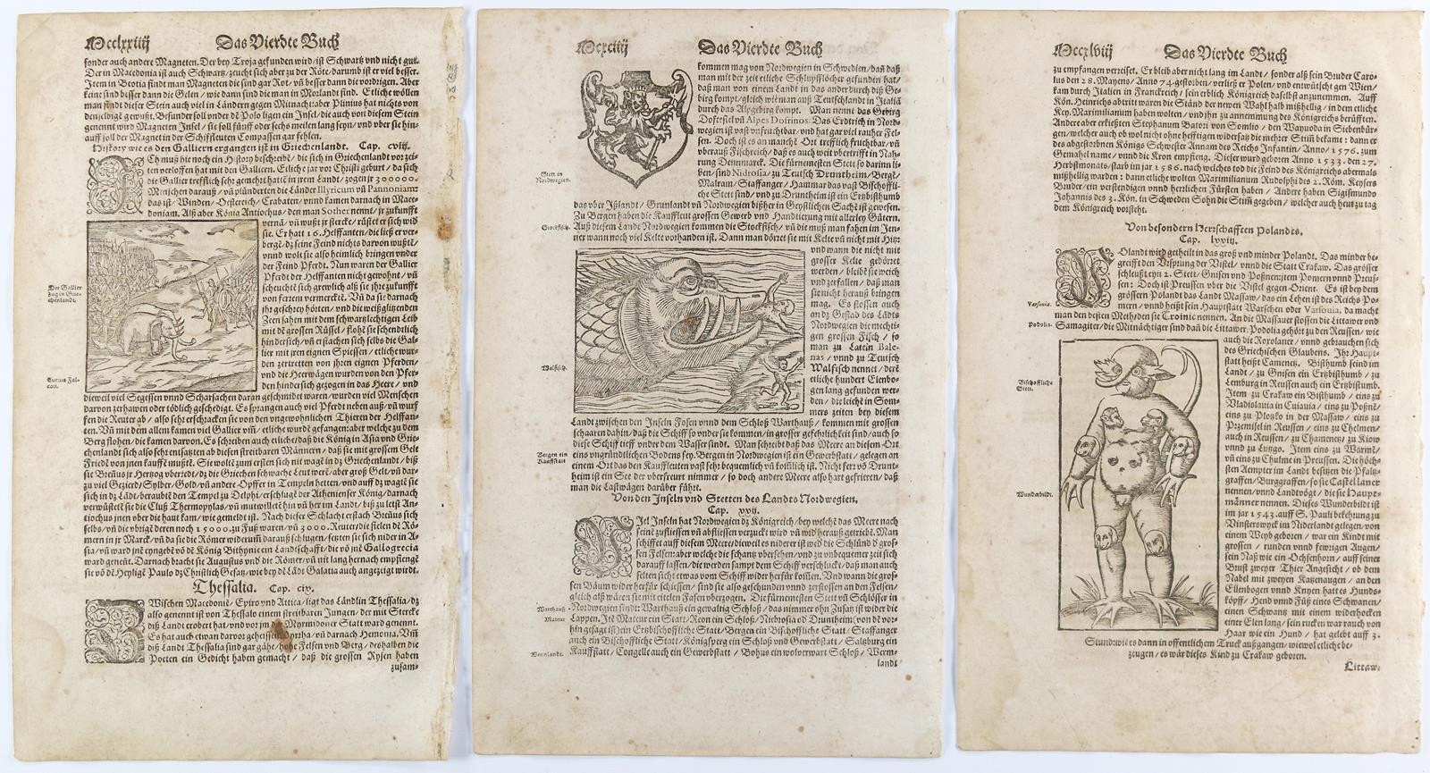 Münster, Sebastian | Bild Nr.2