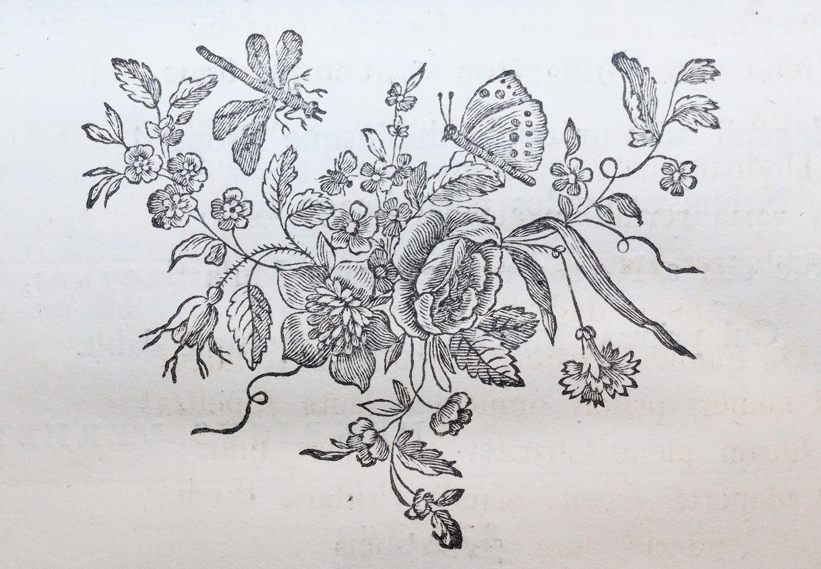 Burman,P. | Bild Nr.2