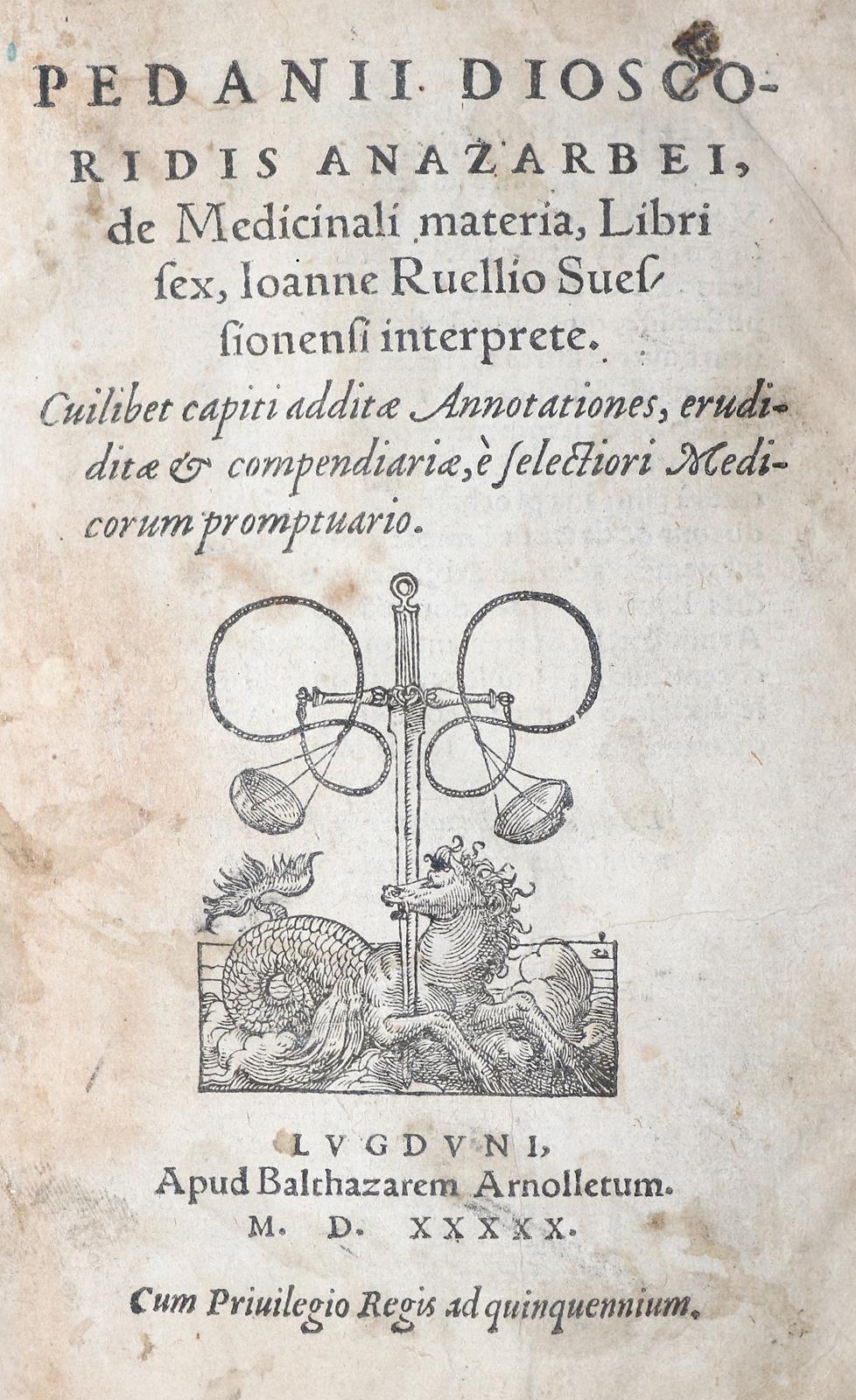 Dioscorides,P. | Bild Nr.4