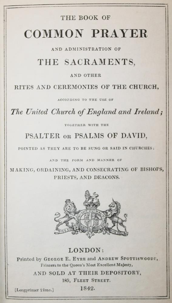 Violetter Samteinband | Bild Nr.2