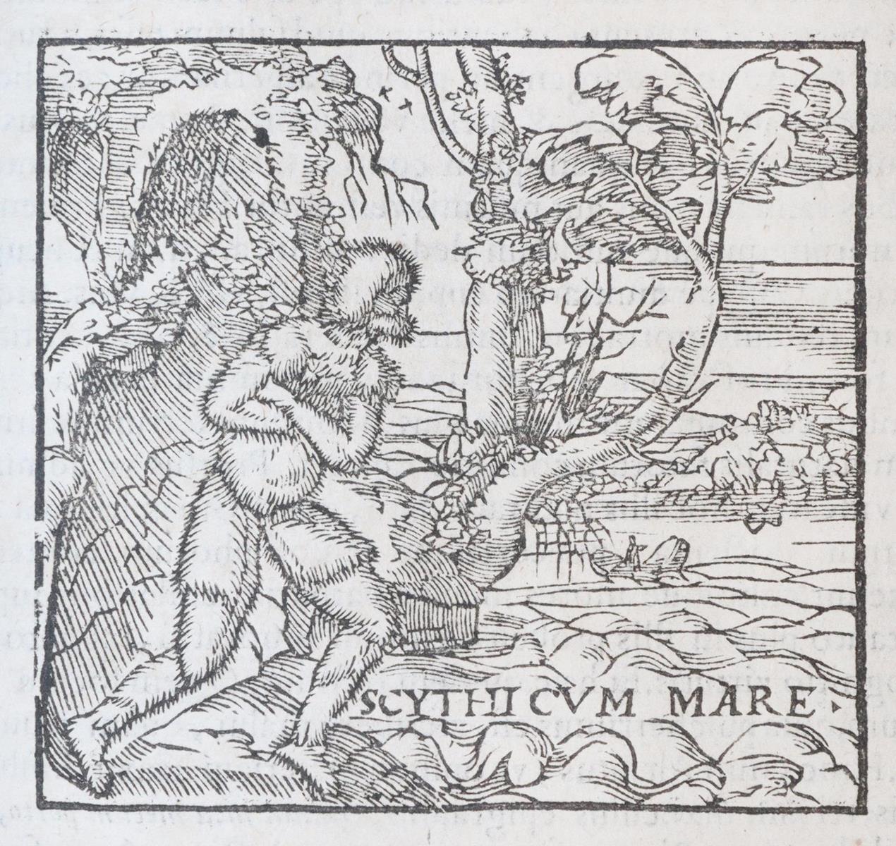 Alciati,A. | Bild Nr.5