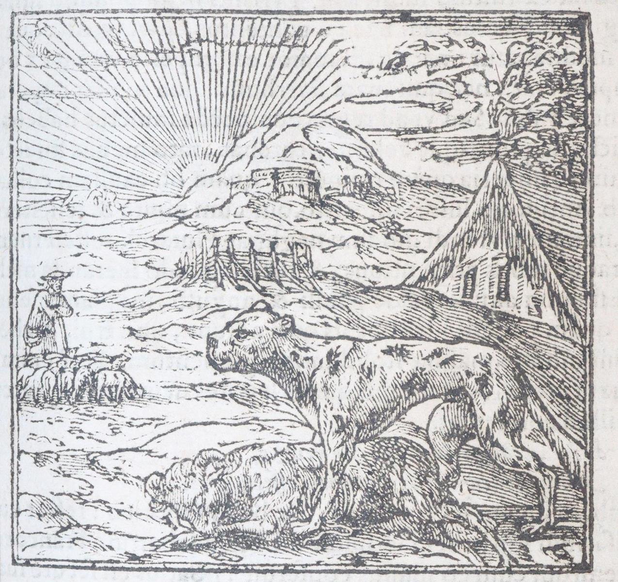 Alciati,A. | Bild Nr.6