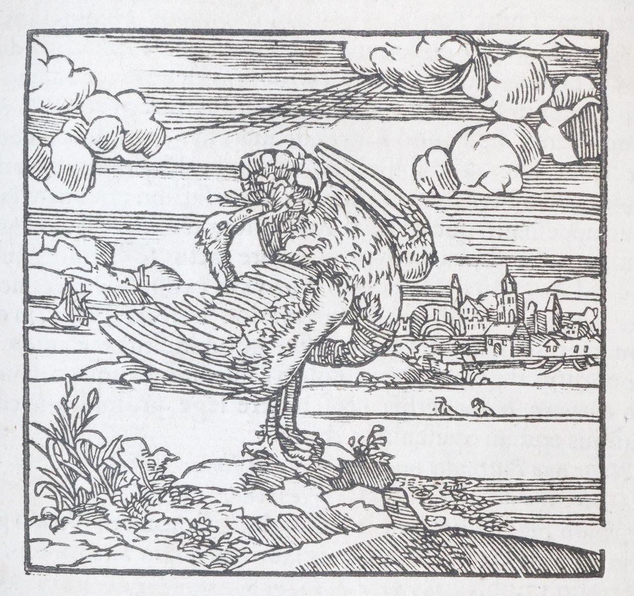 Alciati,A. | Bild Nr.7