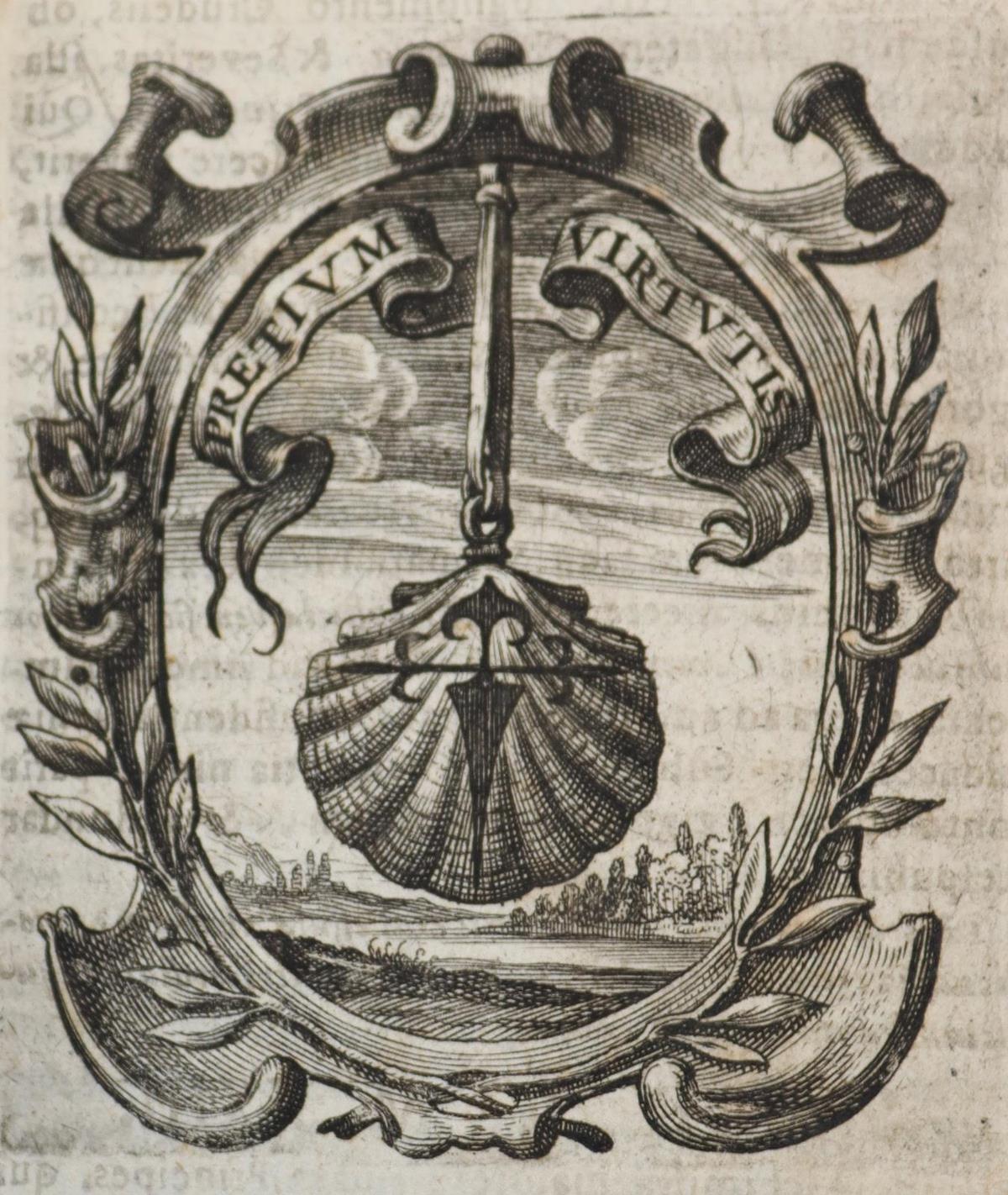 Saavedra,D. | Bild Nr.2