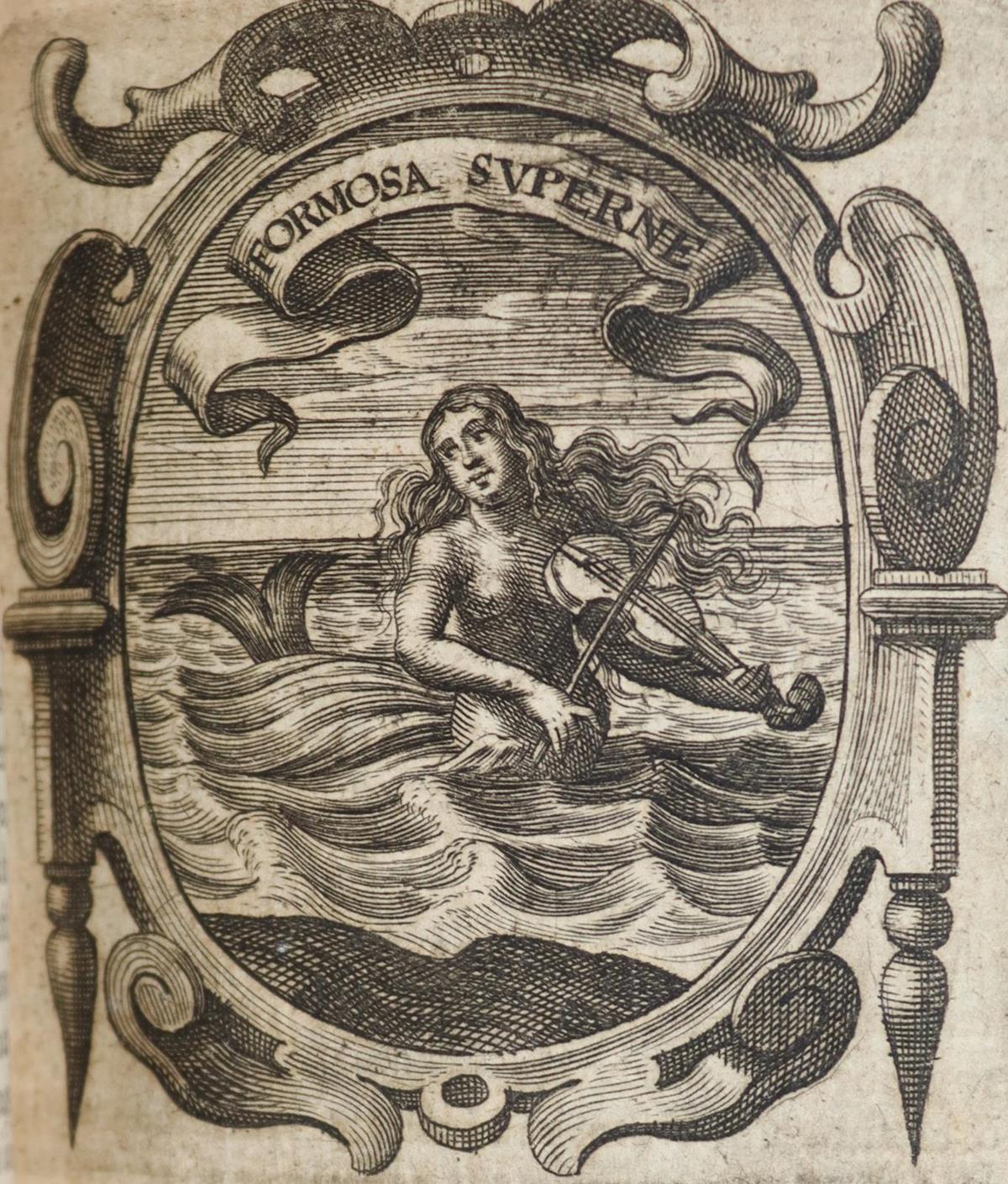 Saavedra,D. | Bild Nr.4