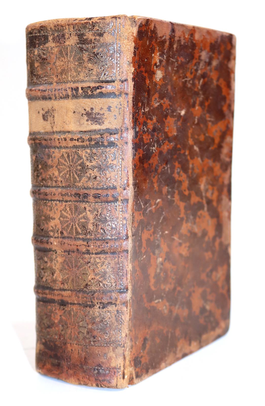 Saavedra,D. | Bild Nr.5