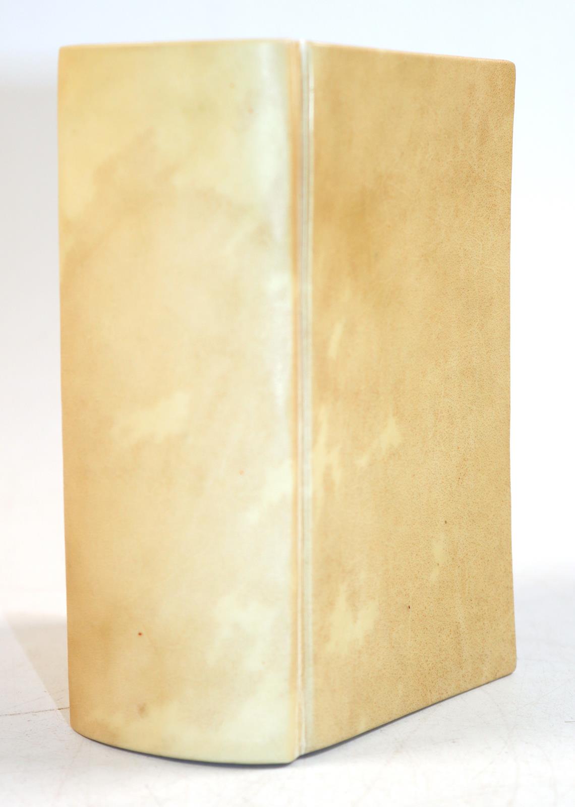 Saavedra,D. | Bild Nr.8