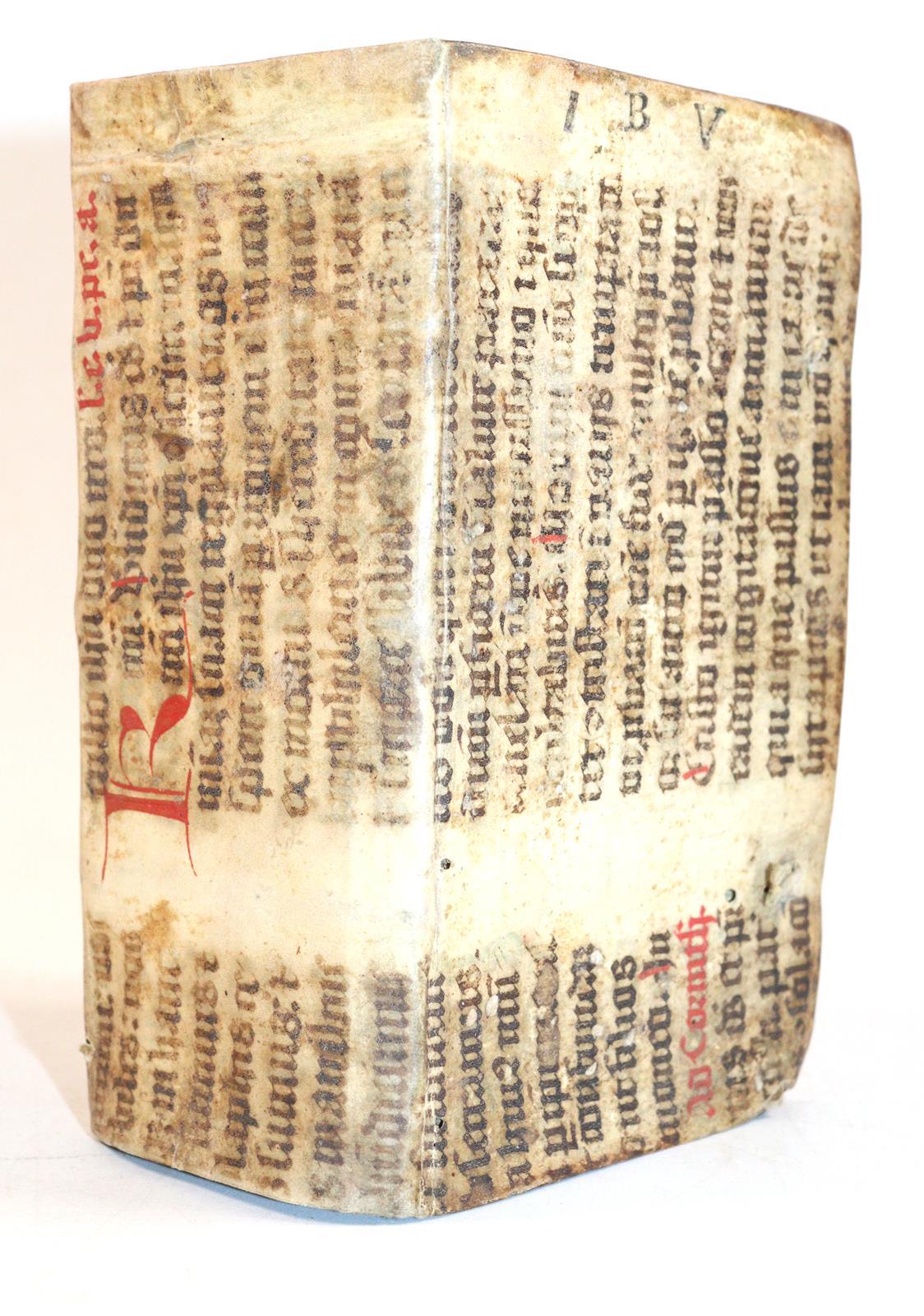 Freige,J.T. | Bild Nr.2