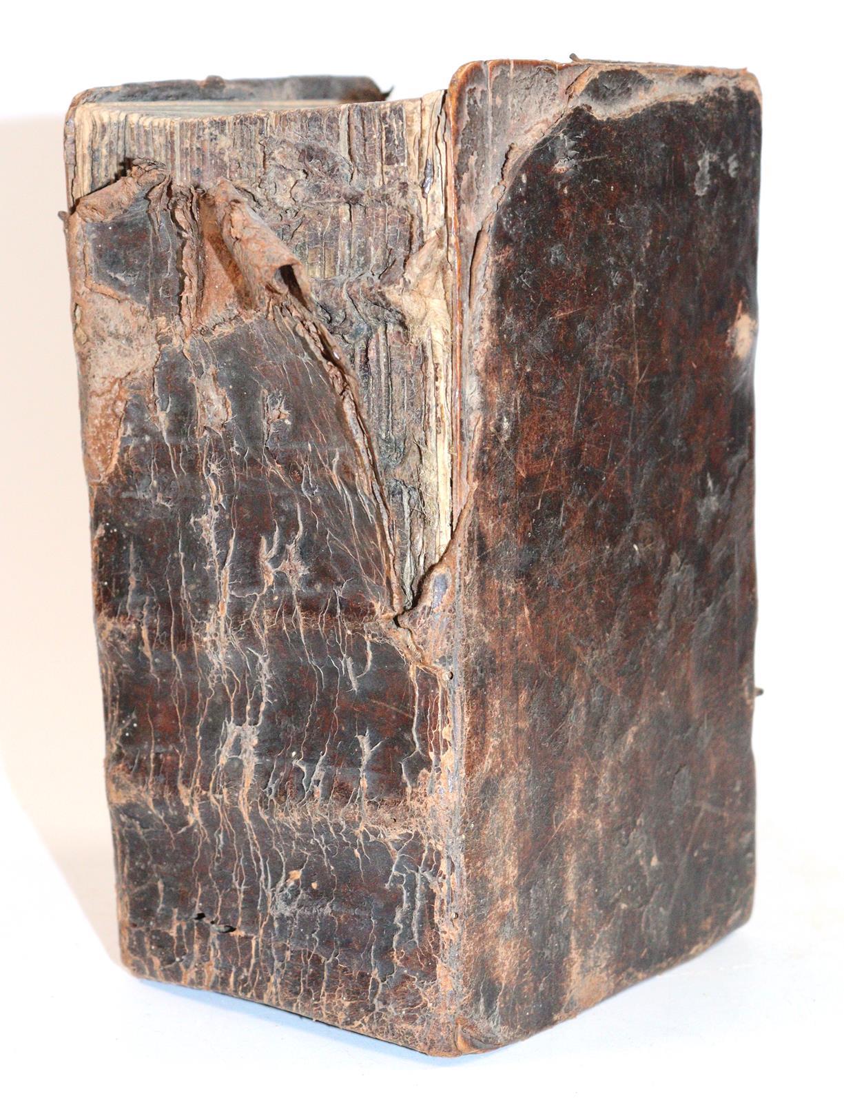 Lobwasser,A. | Bild Nr.3