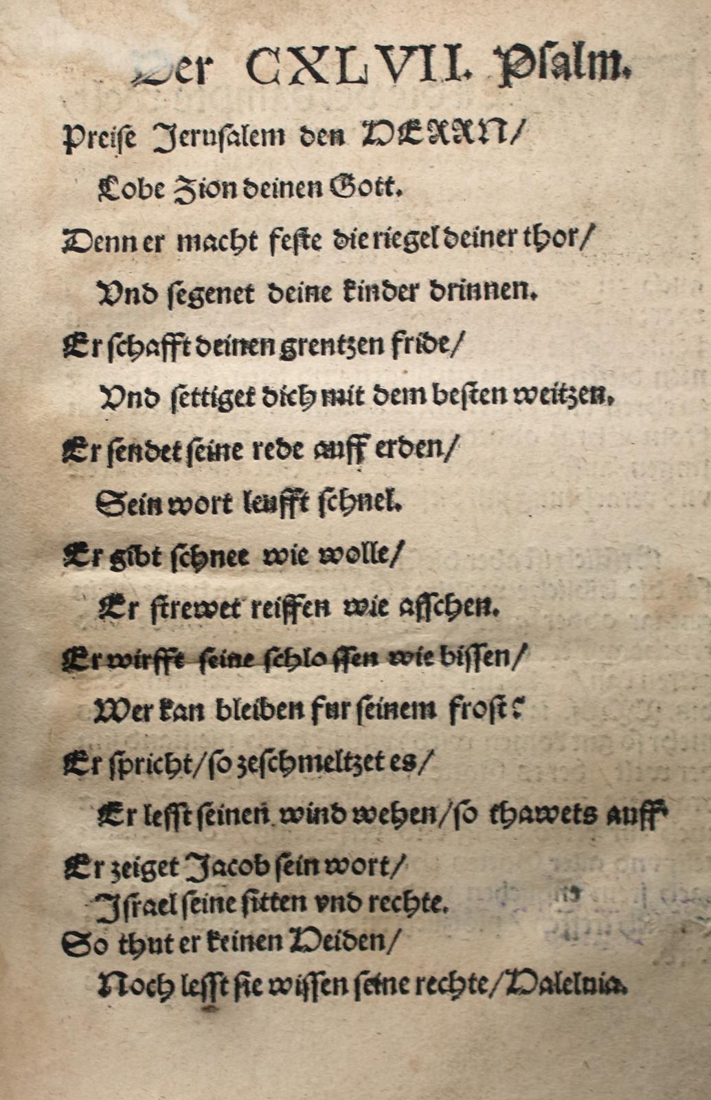 Luther,M. | Bild Nr.2