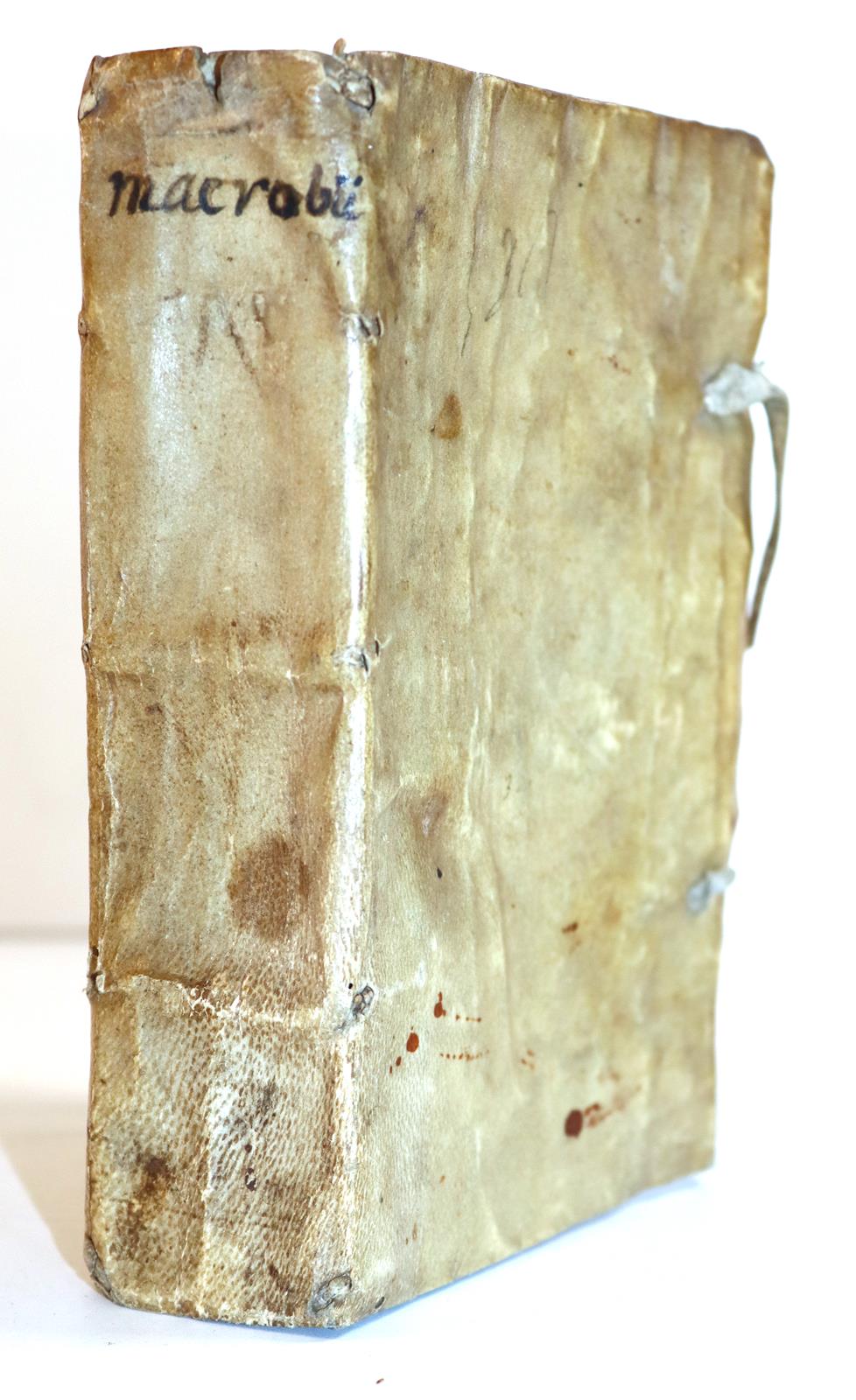 Macrobius,A.A.T. | Bild Nr.6