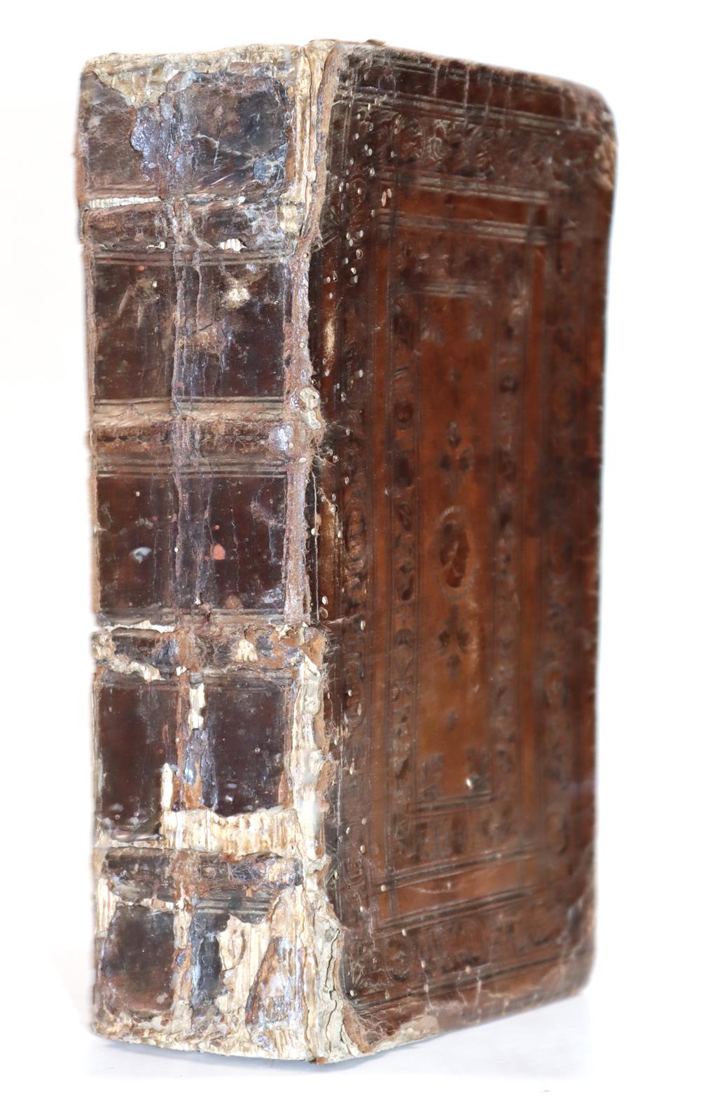 Manardi,J. | Bild Nr.2