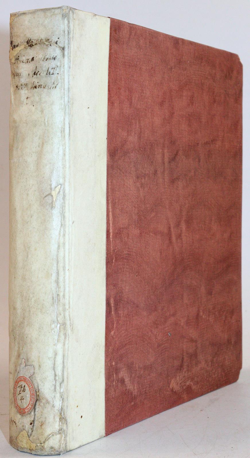 Masen,J. | Bild Nr.3