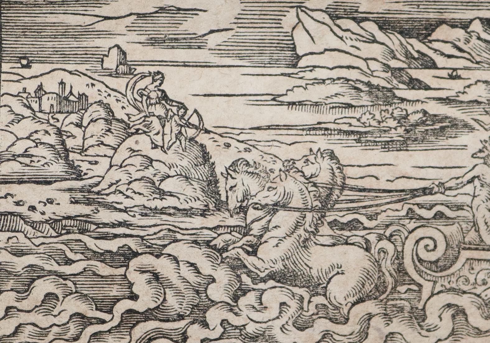 Ovidius,N.P. | Bild Nr.4