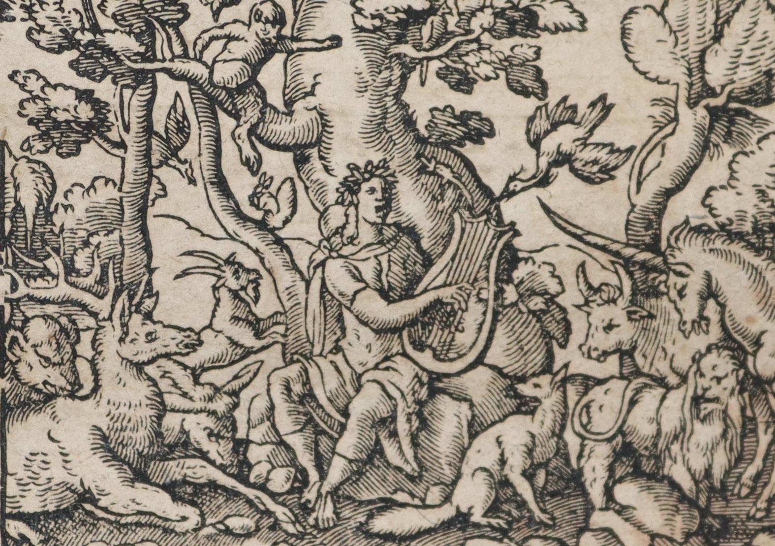 Ovidius,N.P. | Bild Nr.6