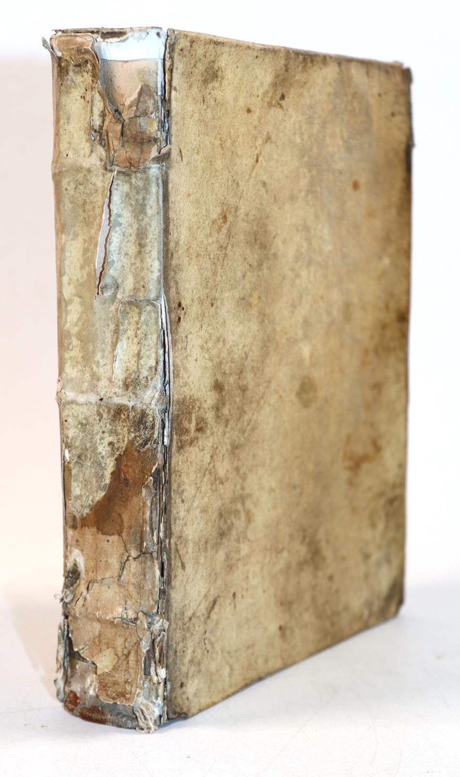 Ovidius,N.P. | Bild Nr.7