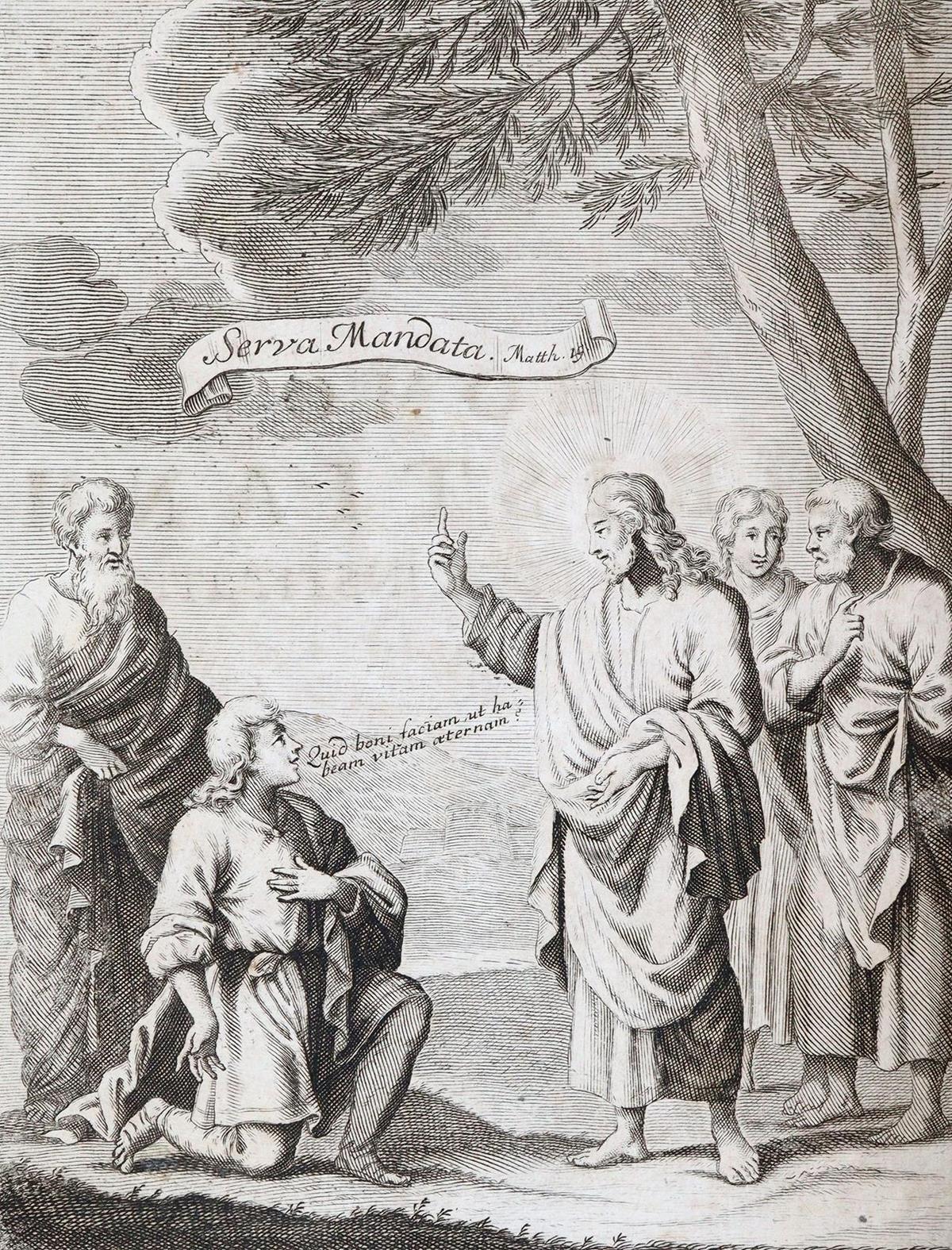 Segner,P. | Bild Nr.2