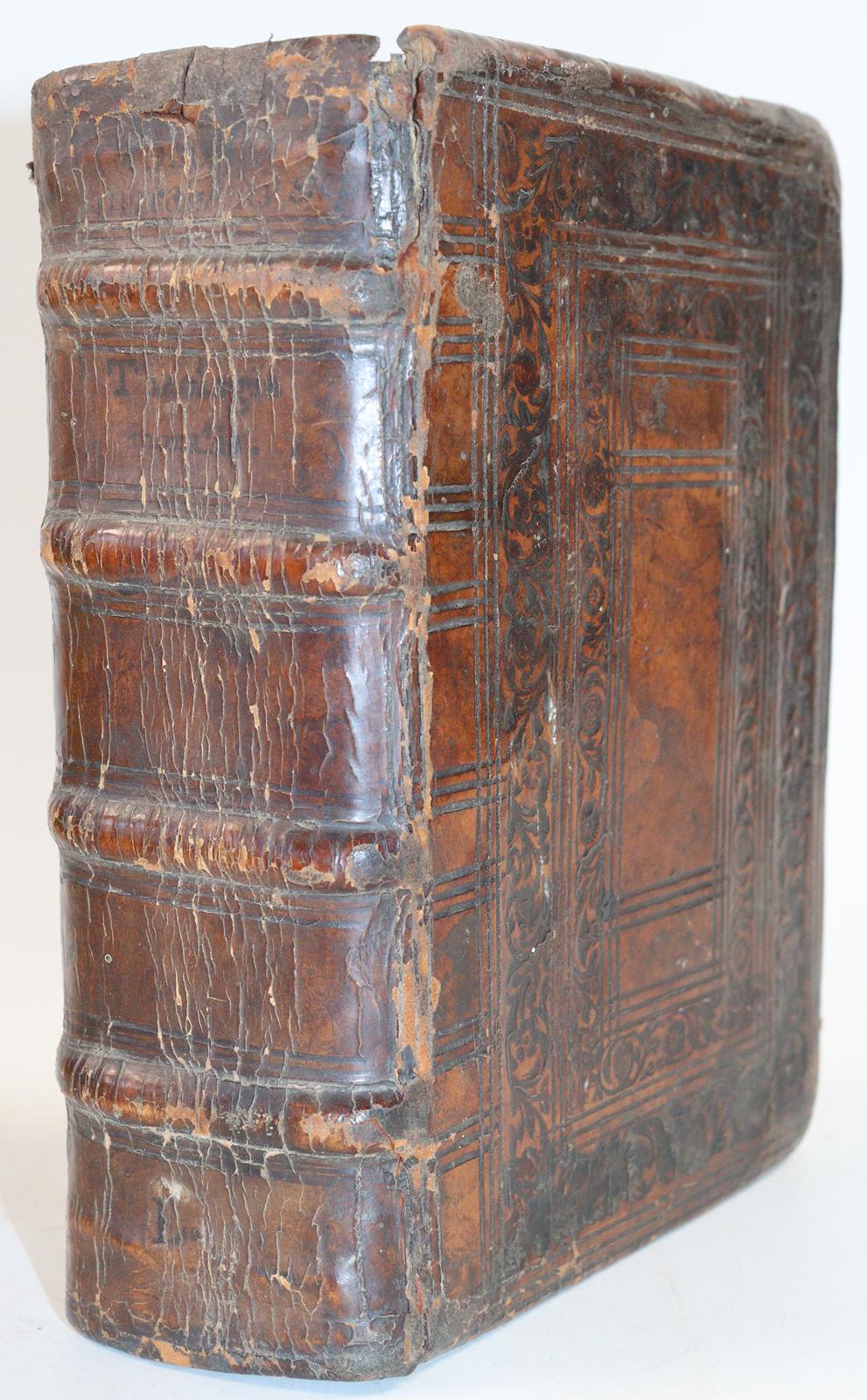 Stephanus a S.Paulo. | Bild Nr.3