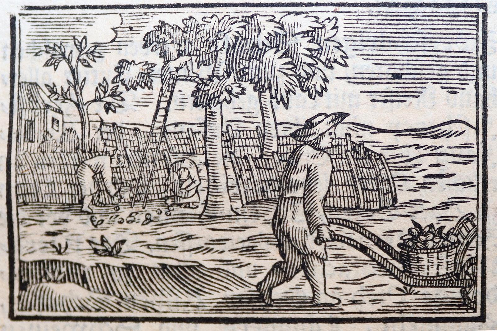 Haußhaltungs-, Garten- und Geschichts-Calender, | Bild Nr.3