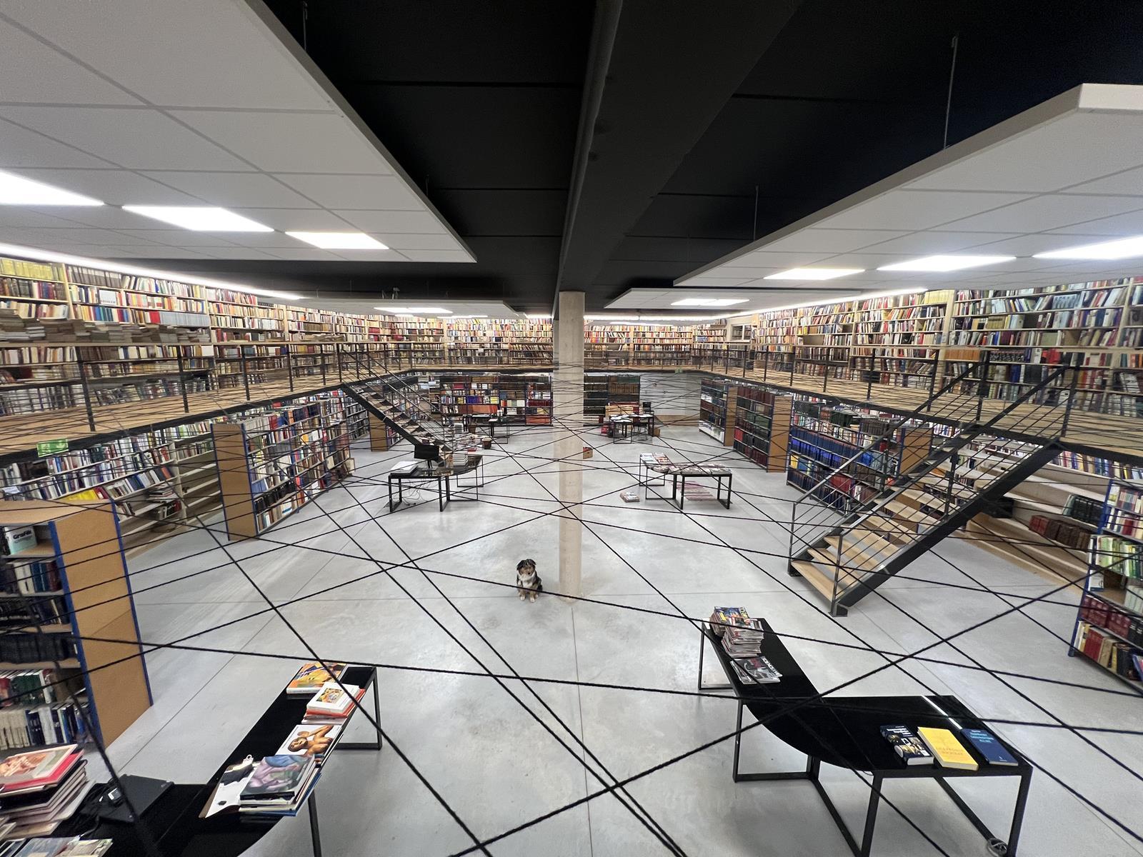 Bibliothek | Bild Nr.60