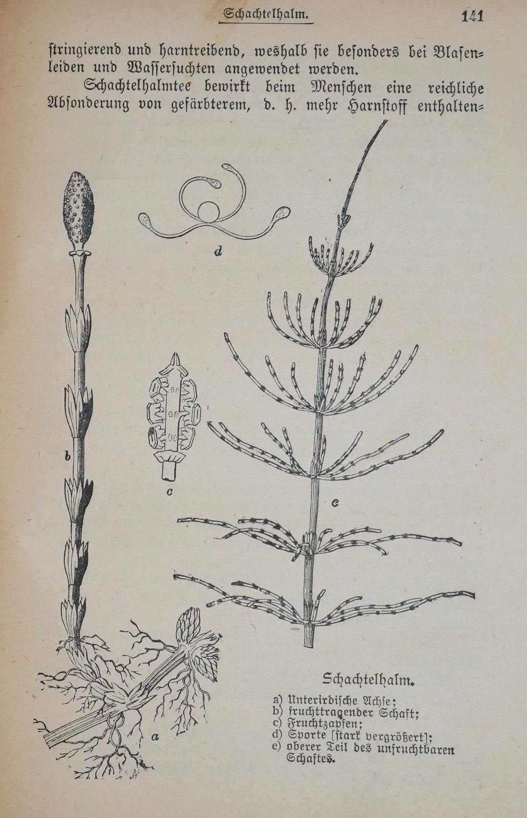 Konvolut | Bild Nr.2