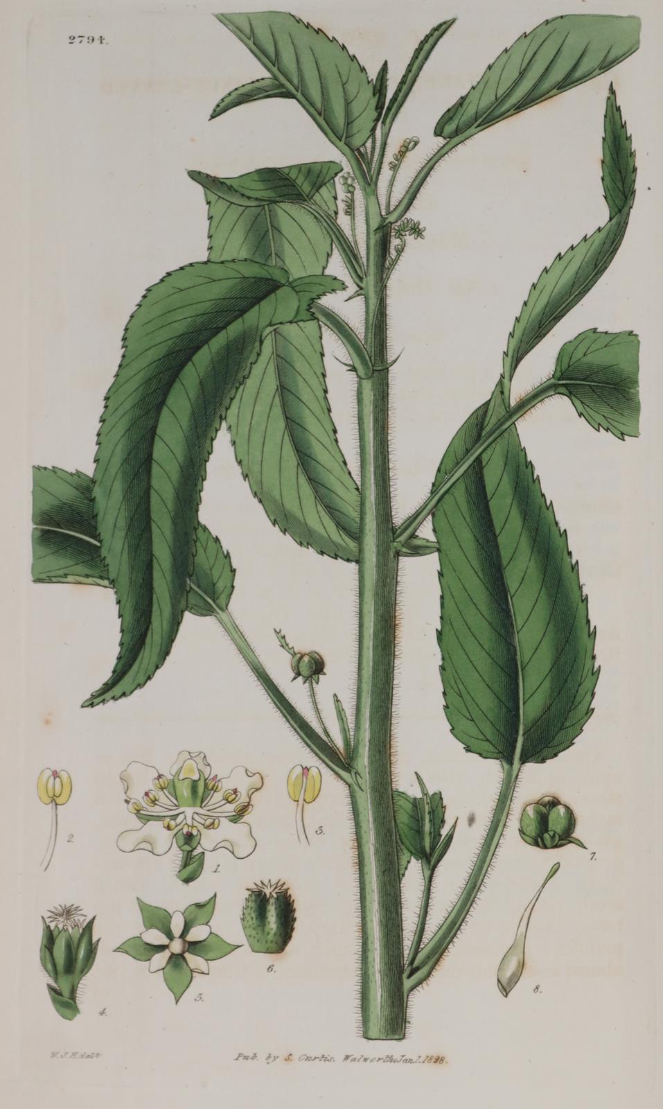 Rückgänge | Bild Nr.7