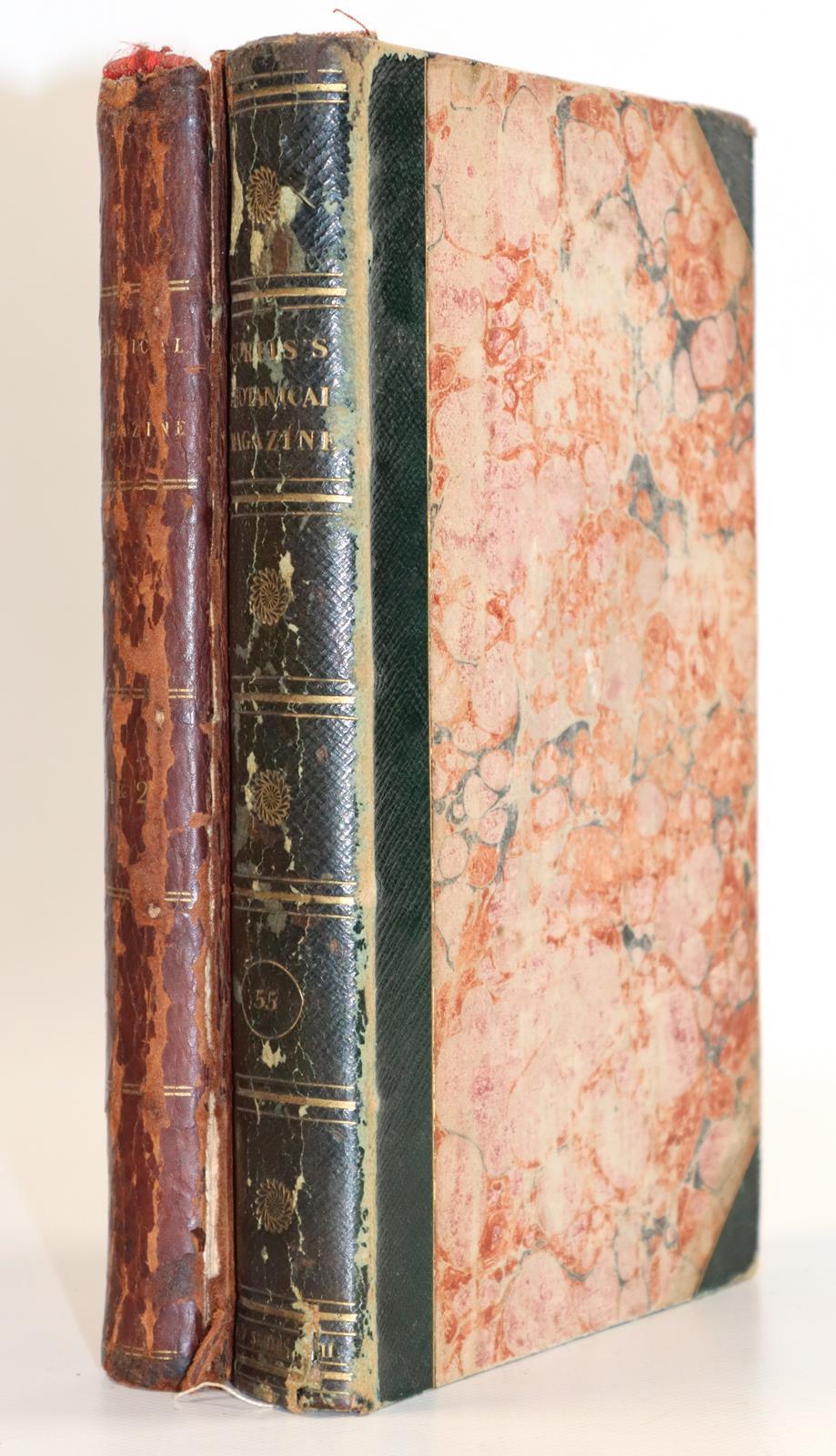 Rückgänge | Bild Nr.8