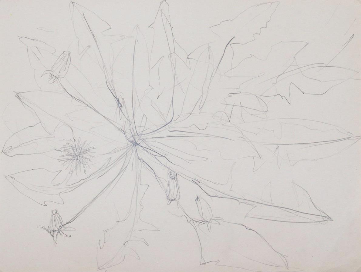 Rückgänge | Bild Nr.17