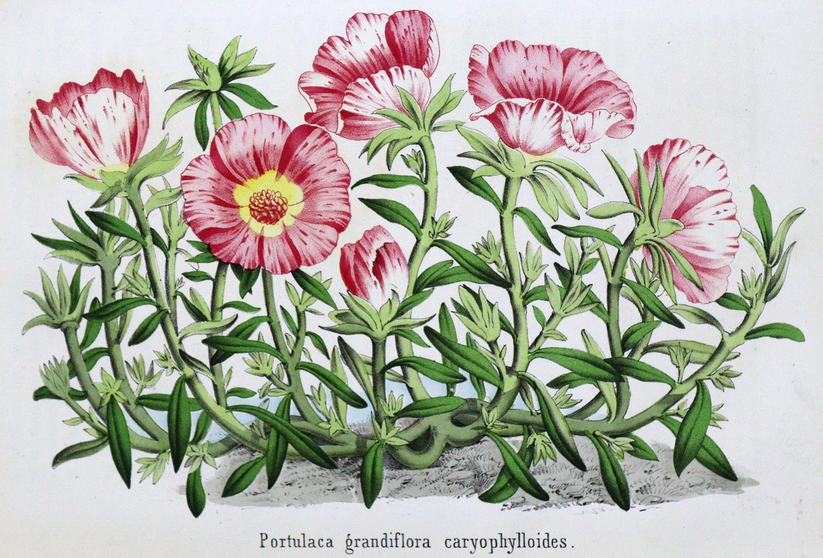 Rückgänge. | Bild Nr.5