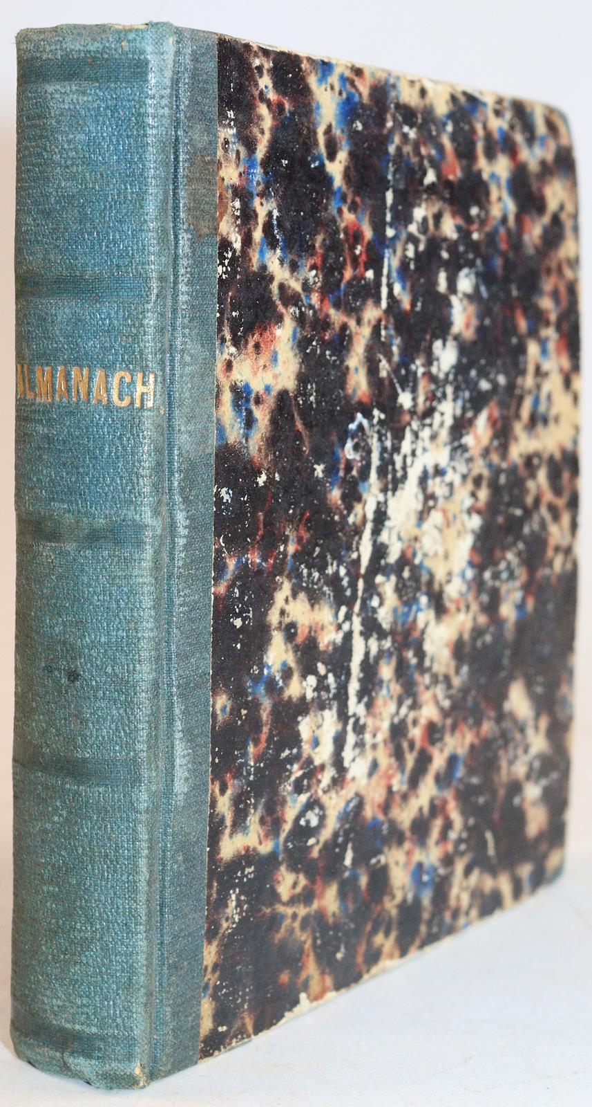 Pfister,R. (Hrsg.). | Bild Nr.2