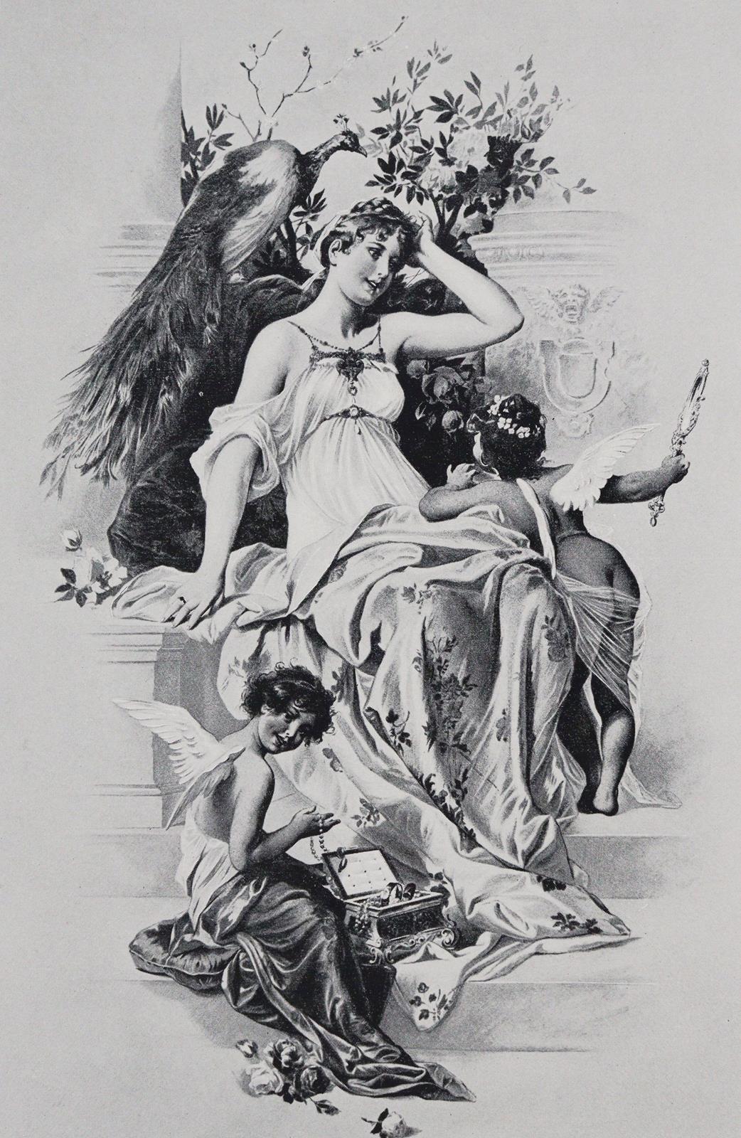 Corvinus,G.S. | Bild Nr.2